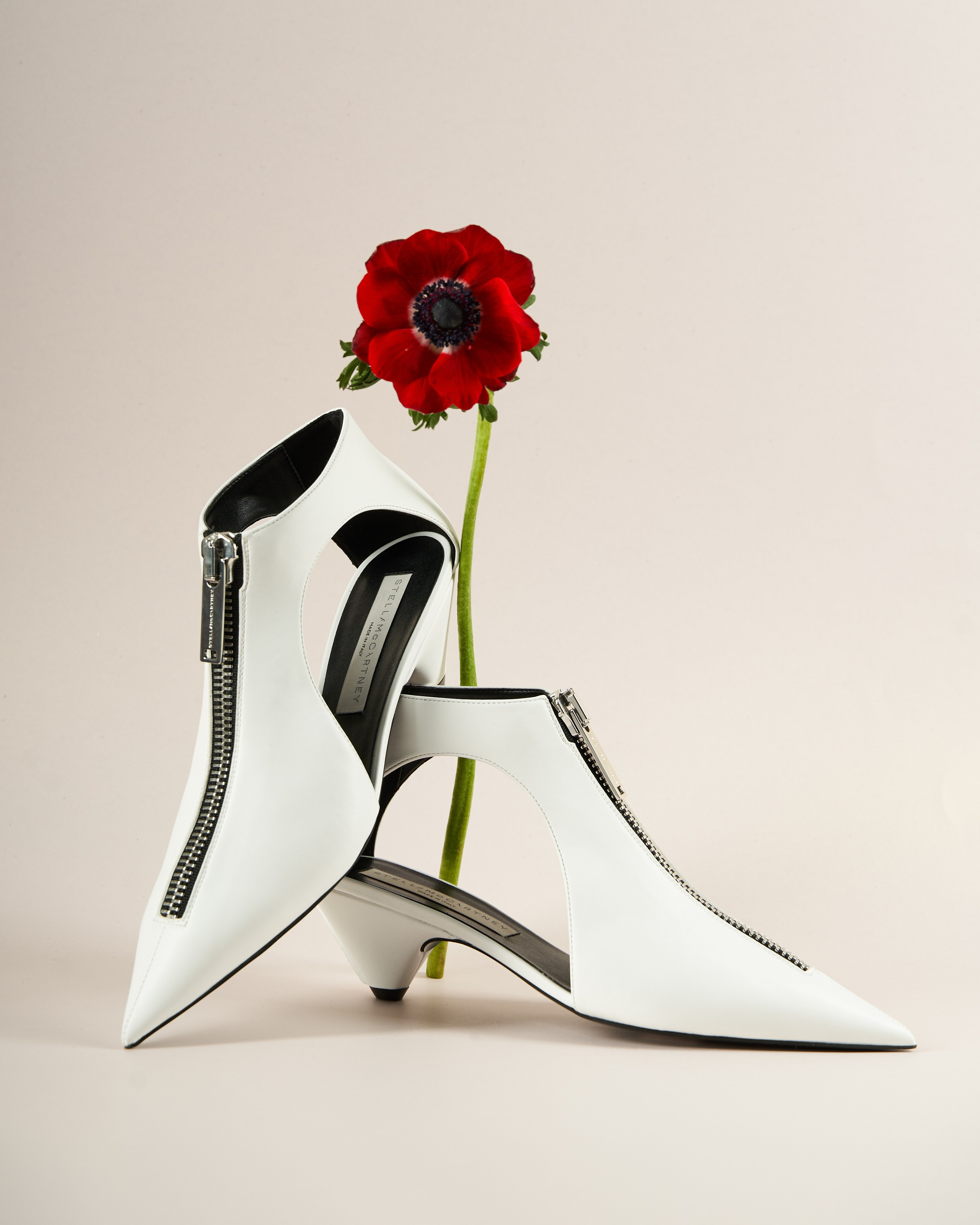 Still life. Photographer