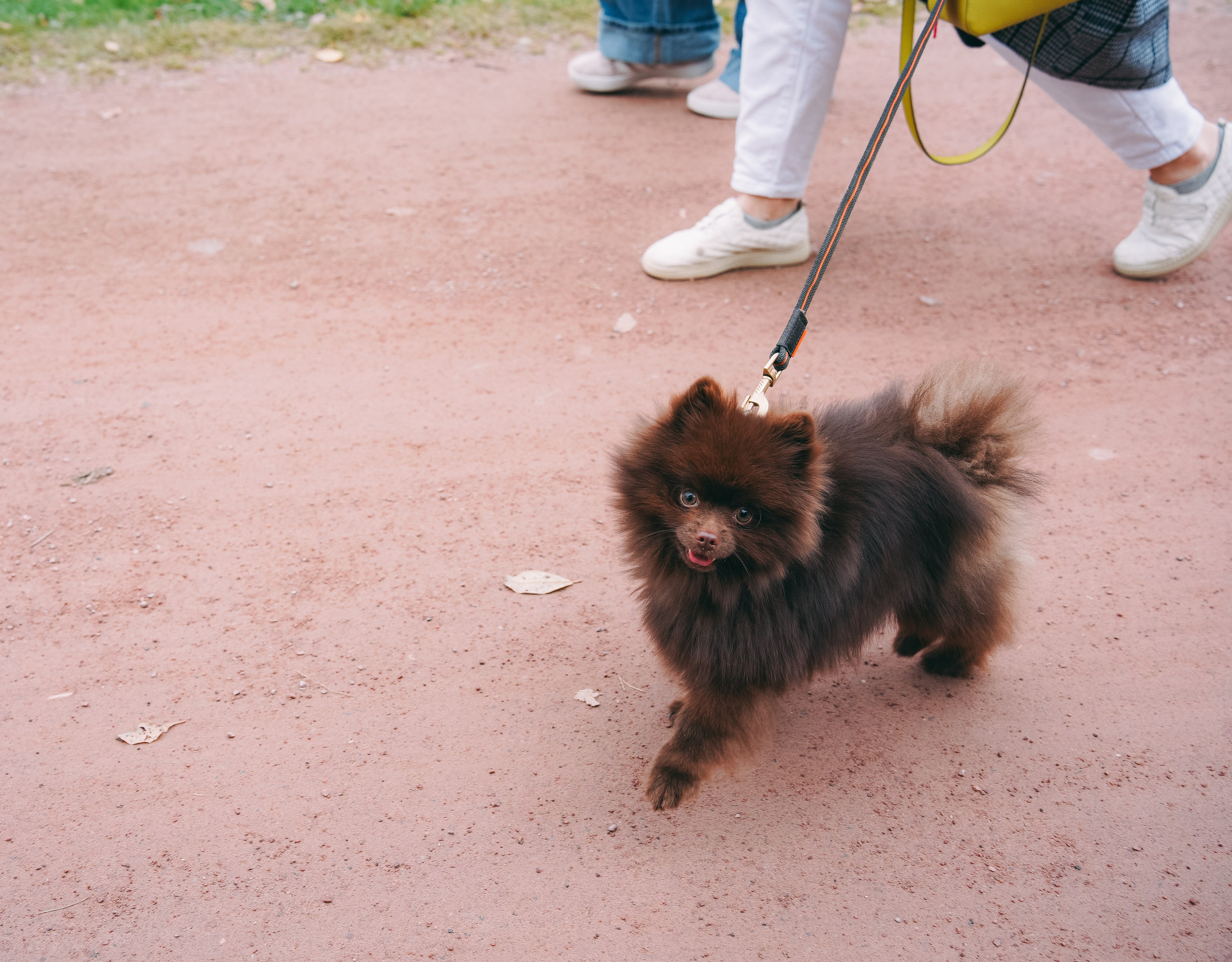 Осень 2025. Фотограф из Москвы — DASHA NOVA | Авторская фотография в разных жанрах