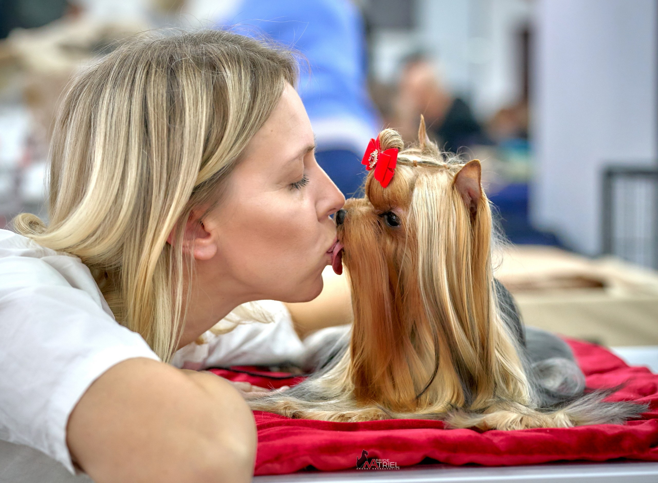 Картинки с выставки — галерея NATRIEL