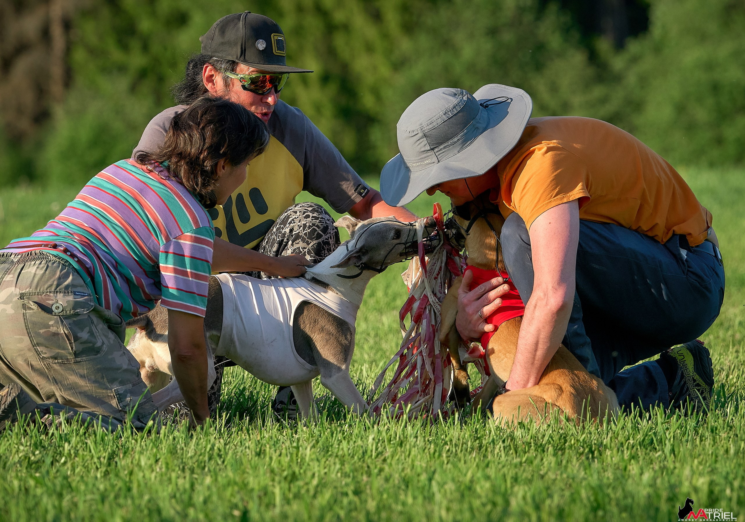 Съемка курсинг — галерея NATRIEL