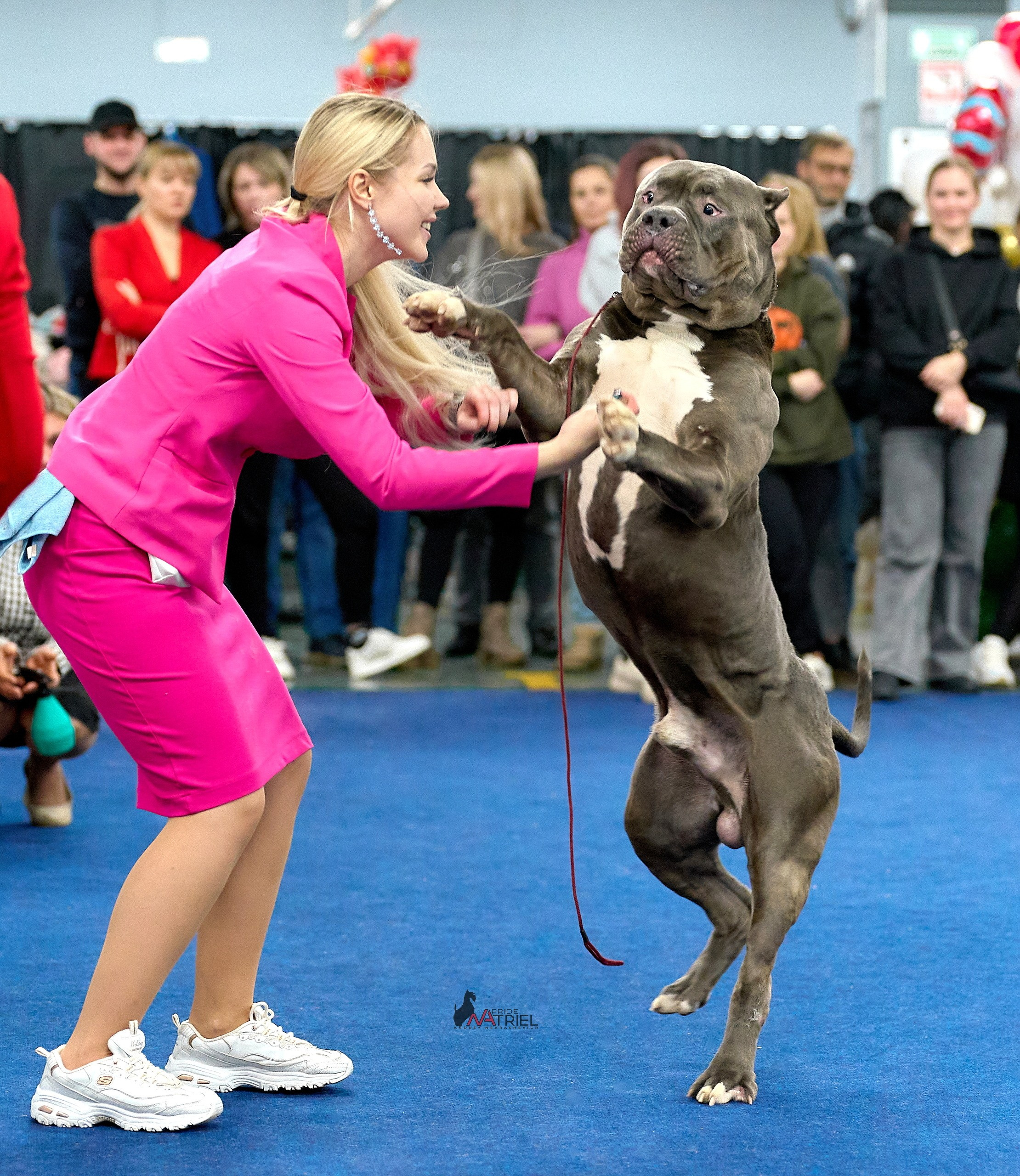 Работа в рингах — галерея NATRIEL