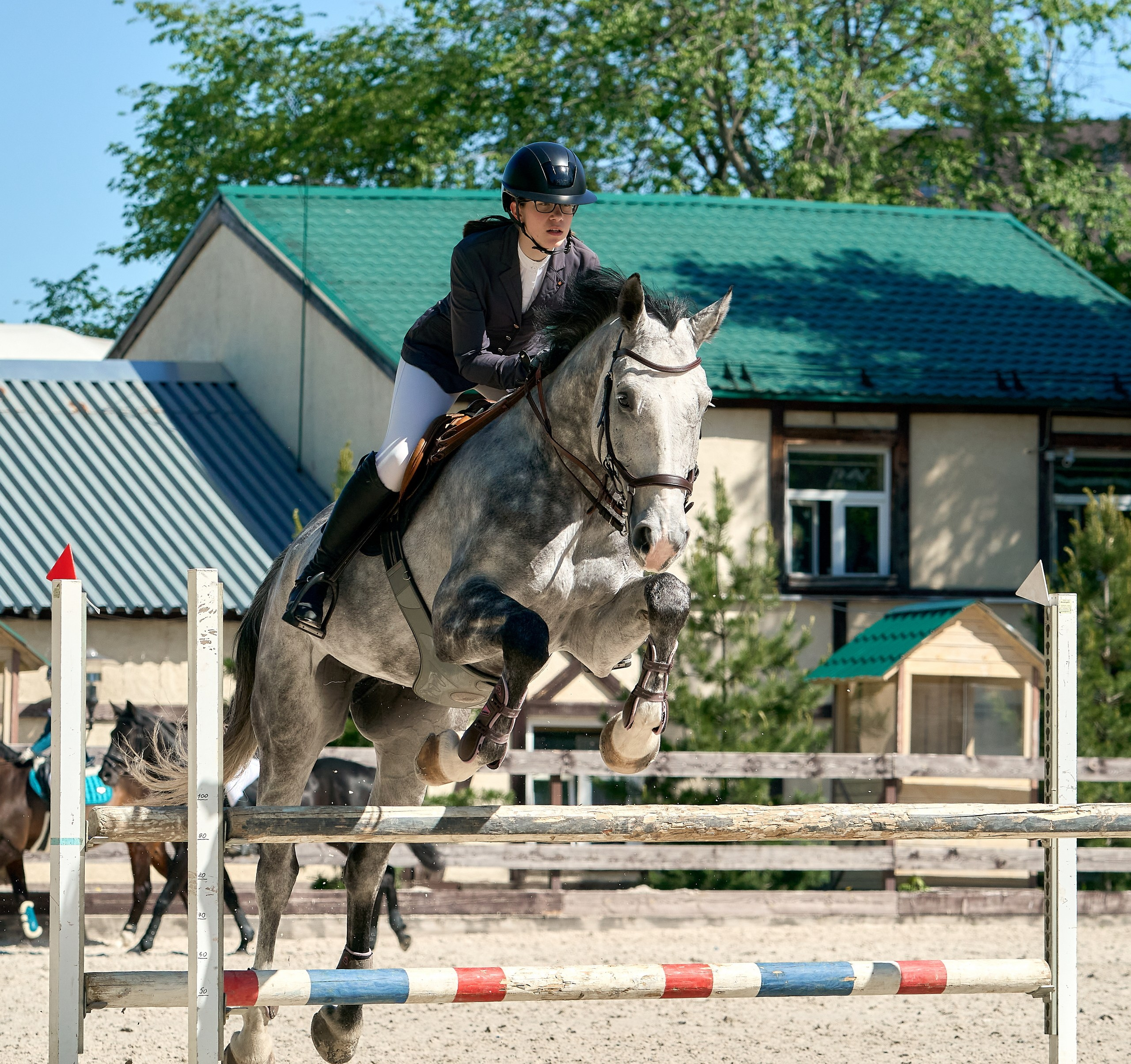Соревнования на лошадях — галерея NATRIEL
