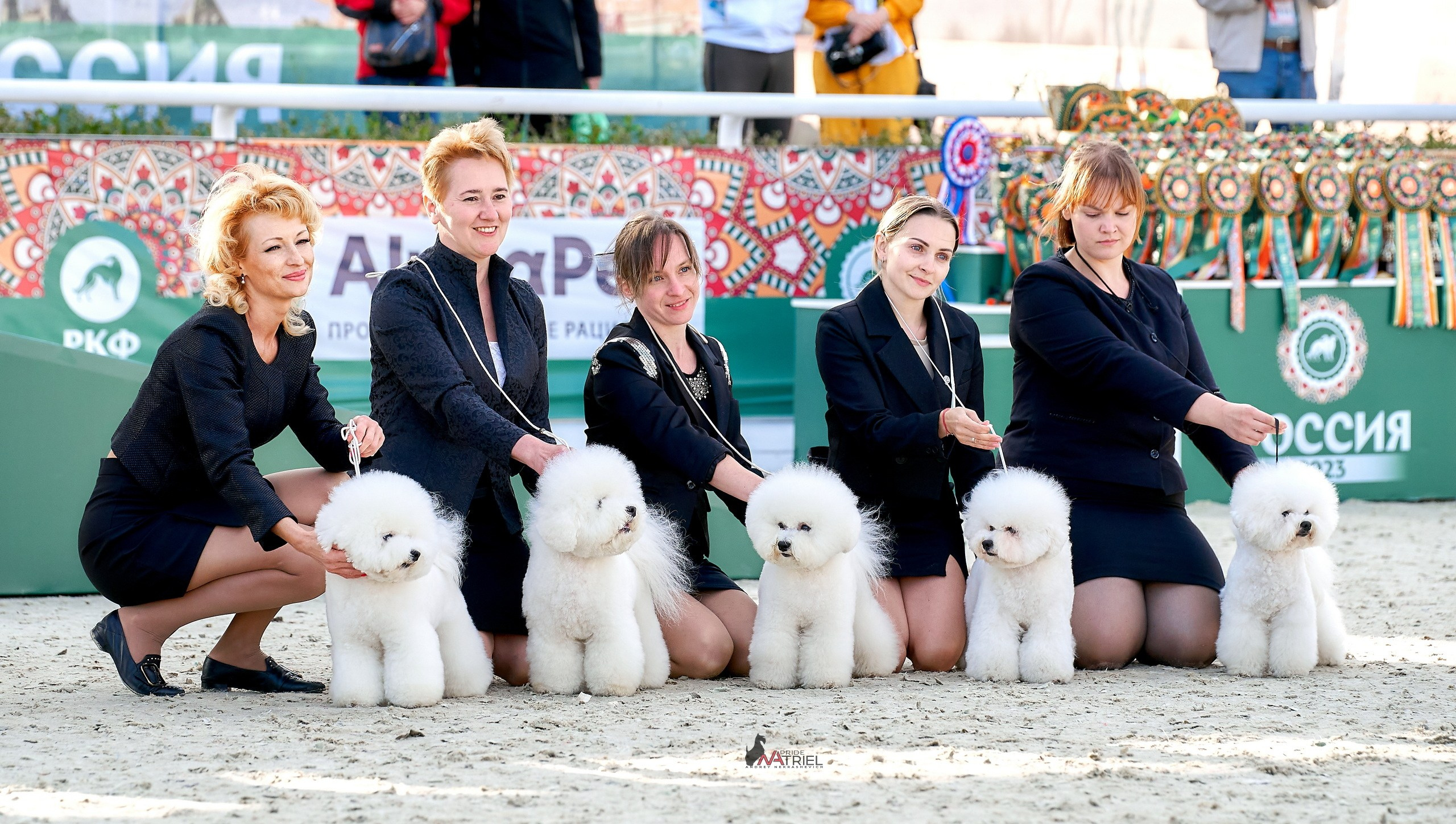 Работа в рингах — галерея NATRIEL