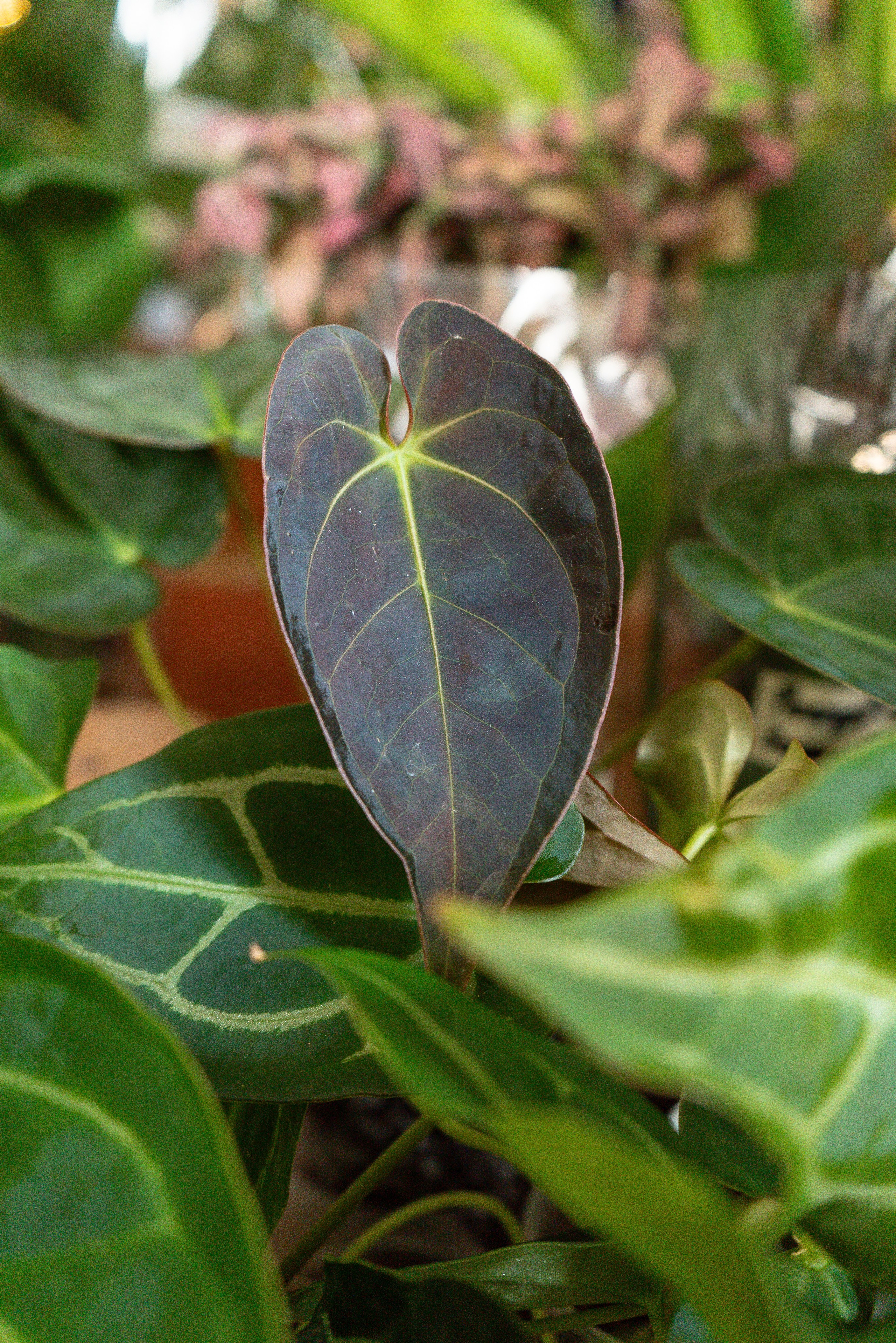 Усадьба. Александра Куликова фотограф, Москва