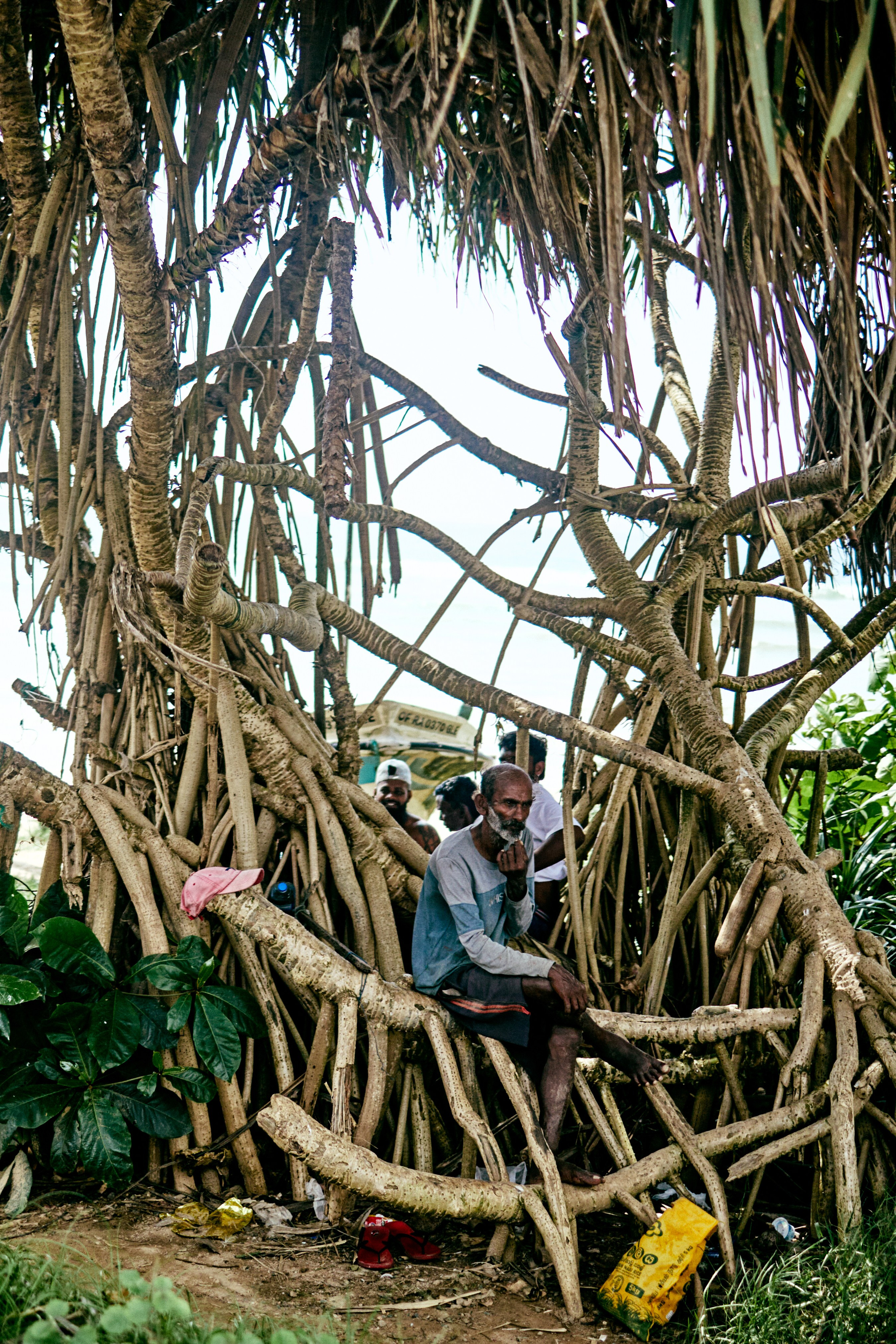 Шри-Ланка. Хороший репортажный и промышленный фотограф в Казани Алексей Щелконогов