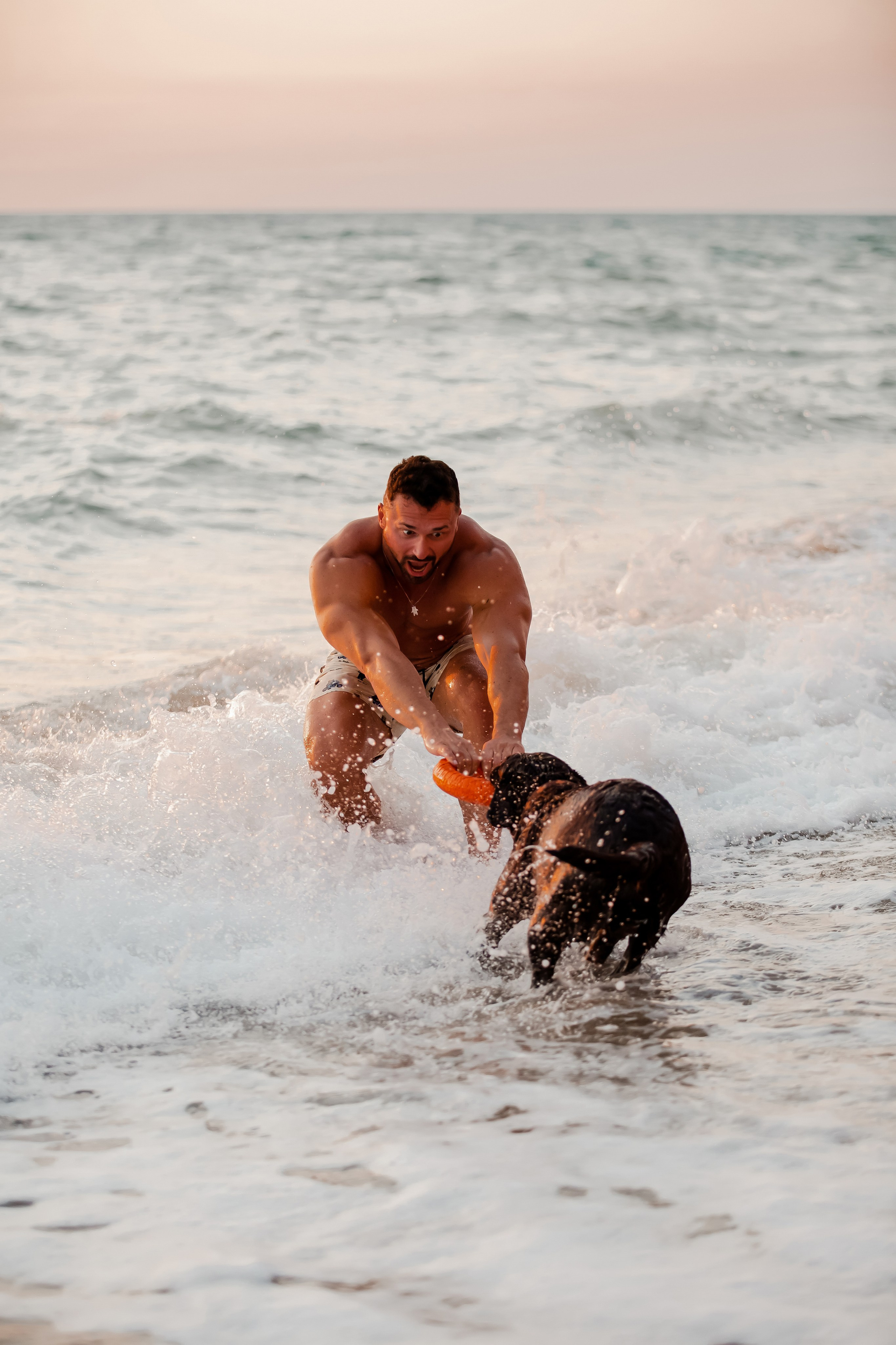 Лабрадор и море. Фотограф-анималист в Краснодаре Маша Мельникова