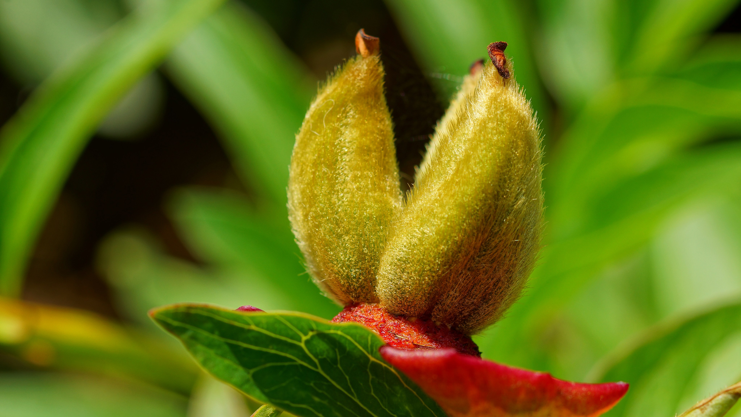 Макро. ZAGLADIN Bureau