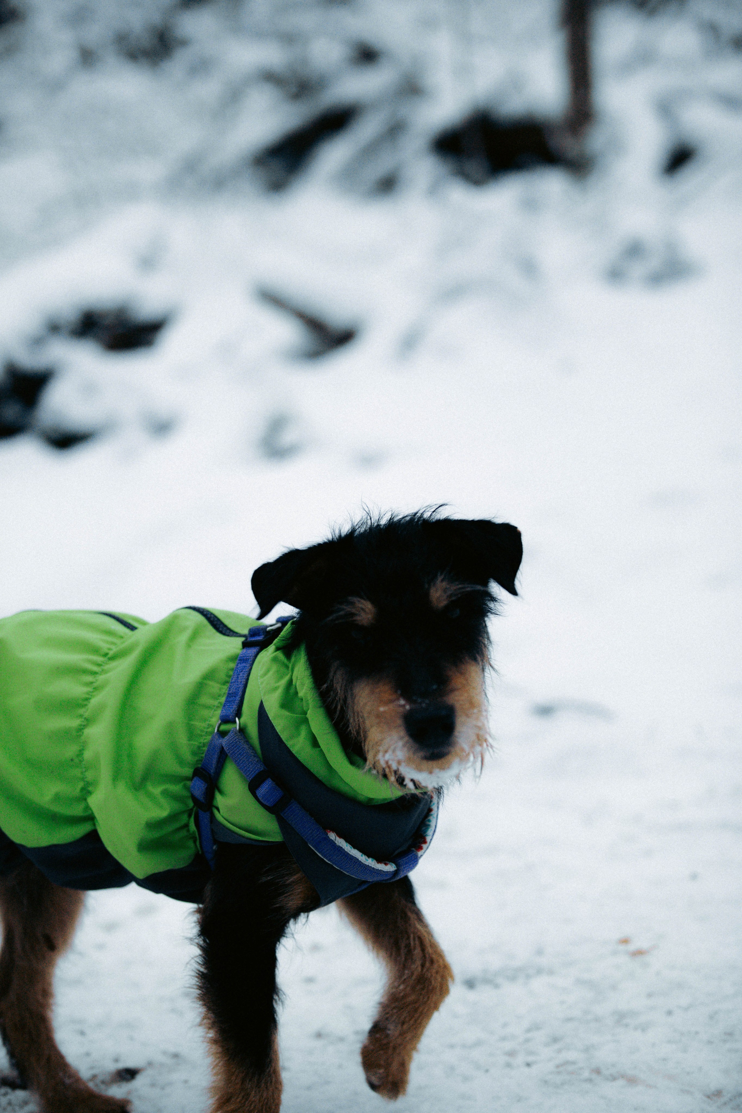 Марафон у дома_Бунино. Александра Мельниченко/ Бегающий фотограф