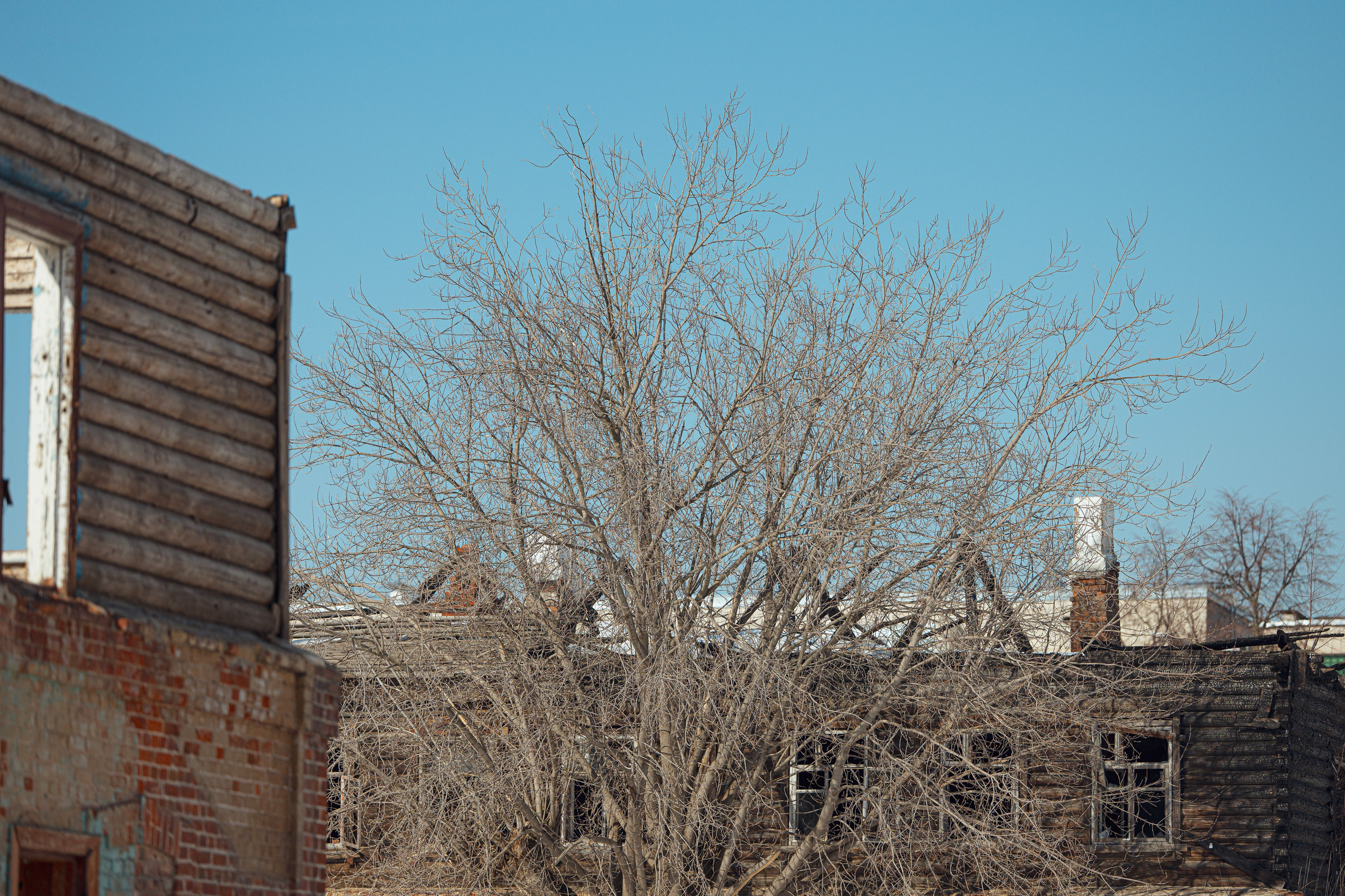 Street photo. Фотограф в Казани, и Зеленодольске Радик Мухаметов