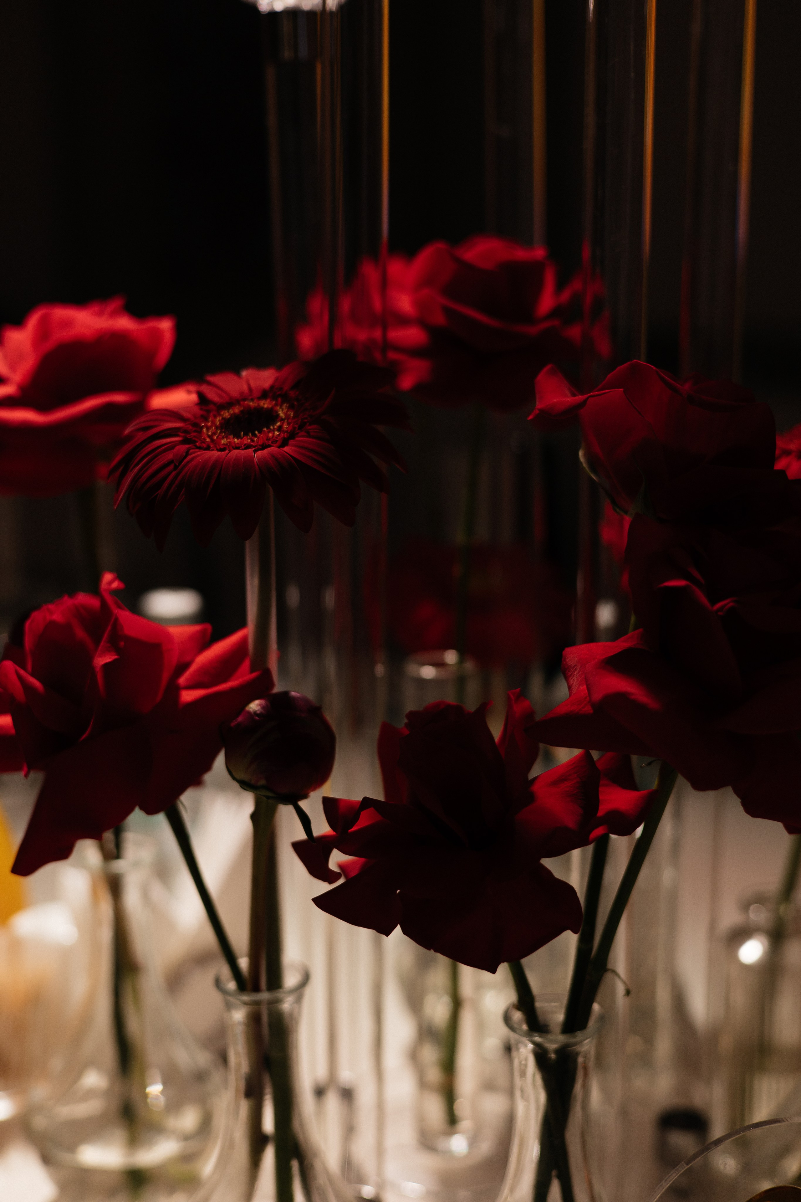 Между небом и землей. Фотограф Петрозаводск/СПБ