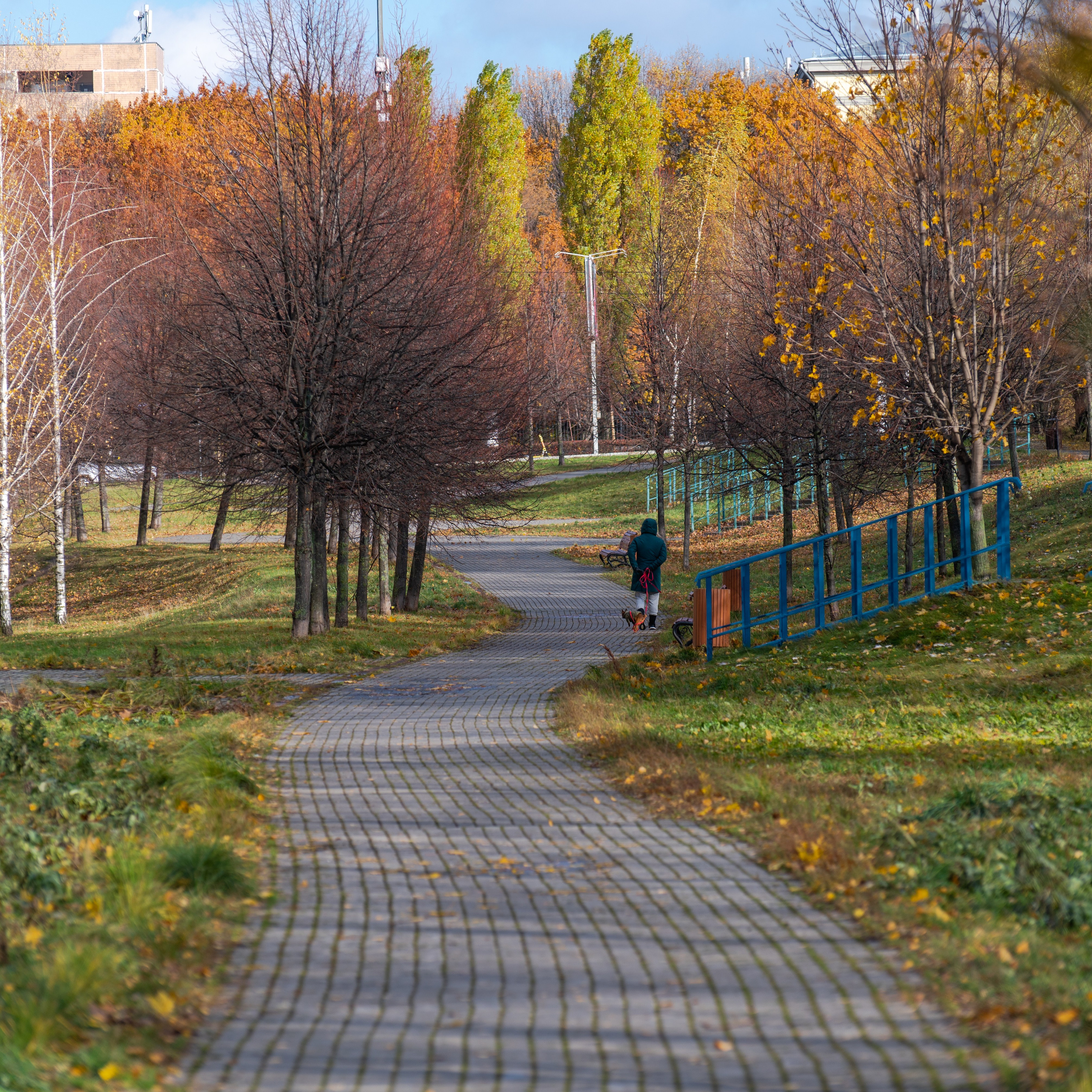 20241102 МГУ. Дмитрий Ремизов. Фотография, как хобби