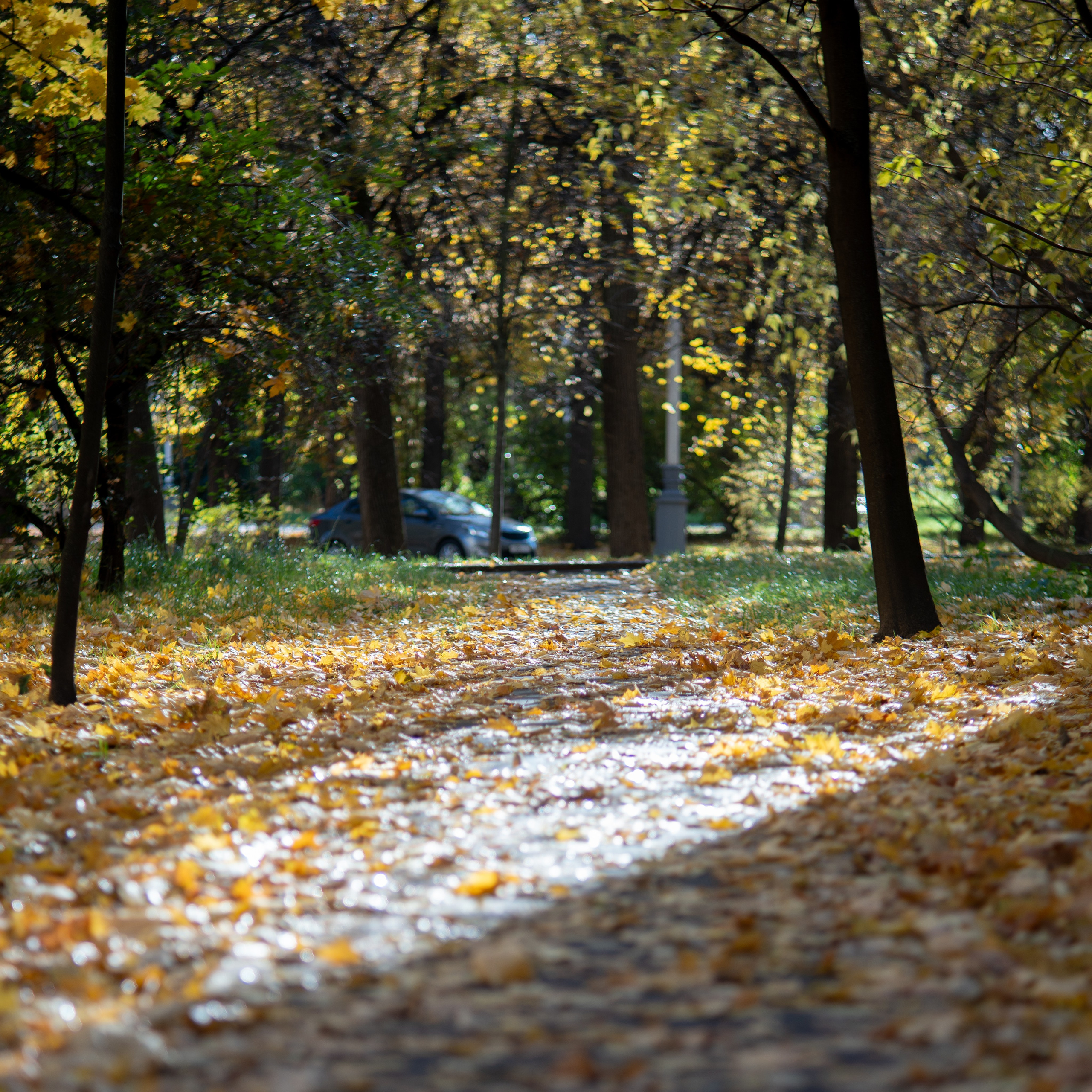 20251012 МГУ. Дмитрий Ремизов. Фотография, как хобби