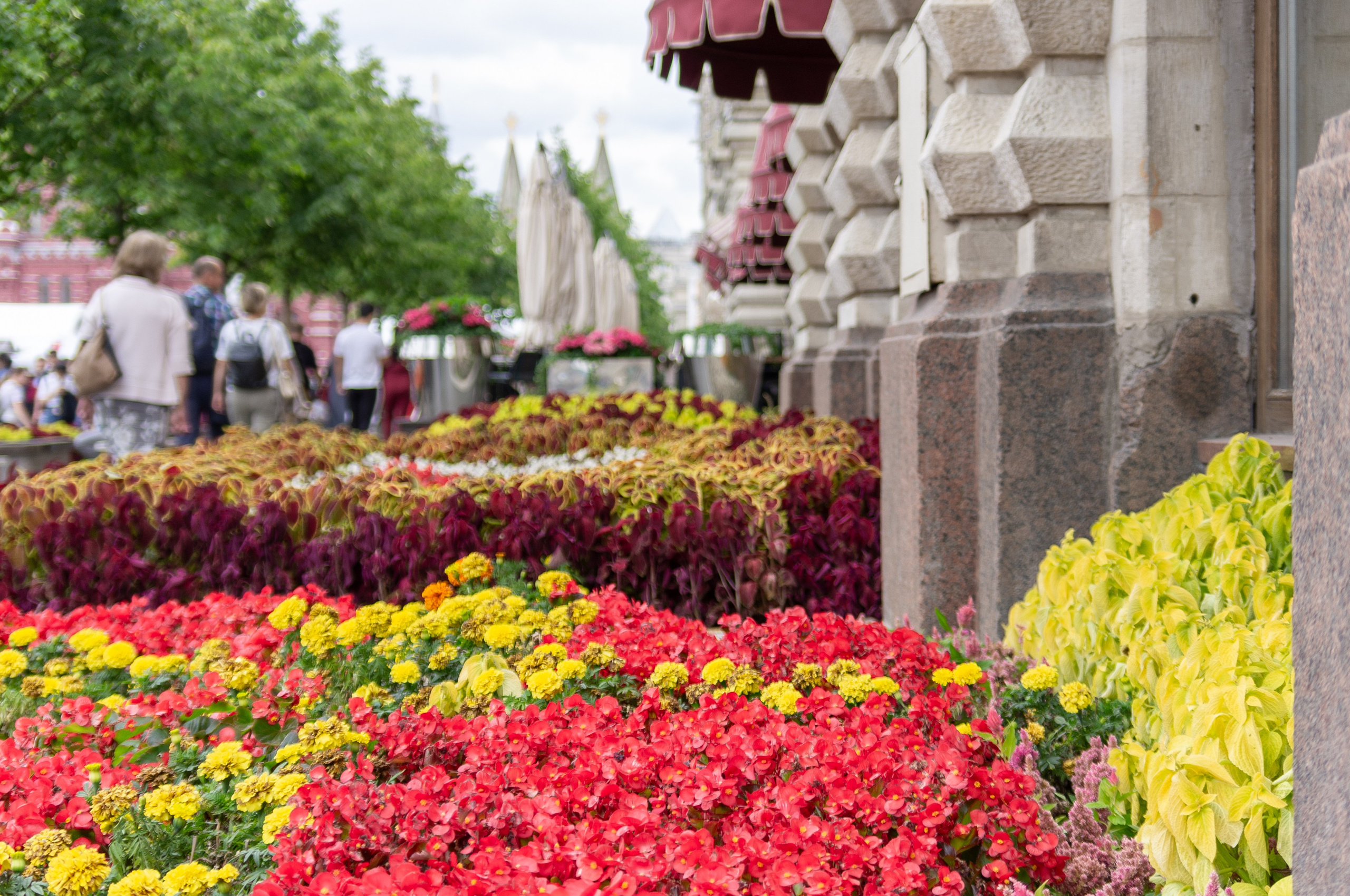 20200824 Вокруг Кремля с братом. Дмитрий Ремизов. Фотография, как хобби