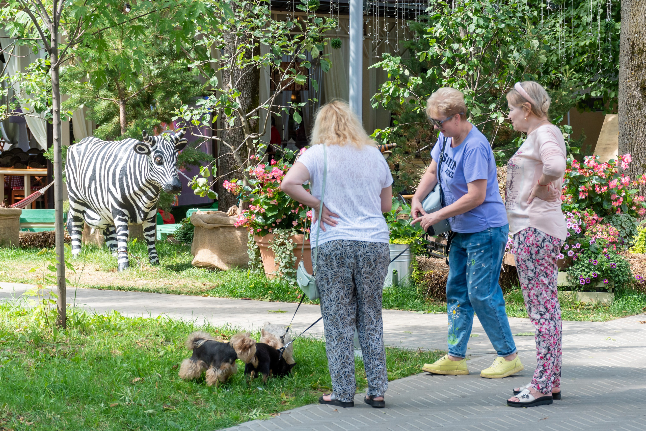 20220803-04 Смоленск. Дмитрий Ремизов. Фотография, как хобби