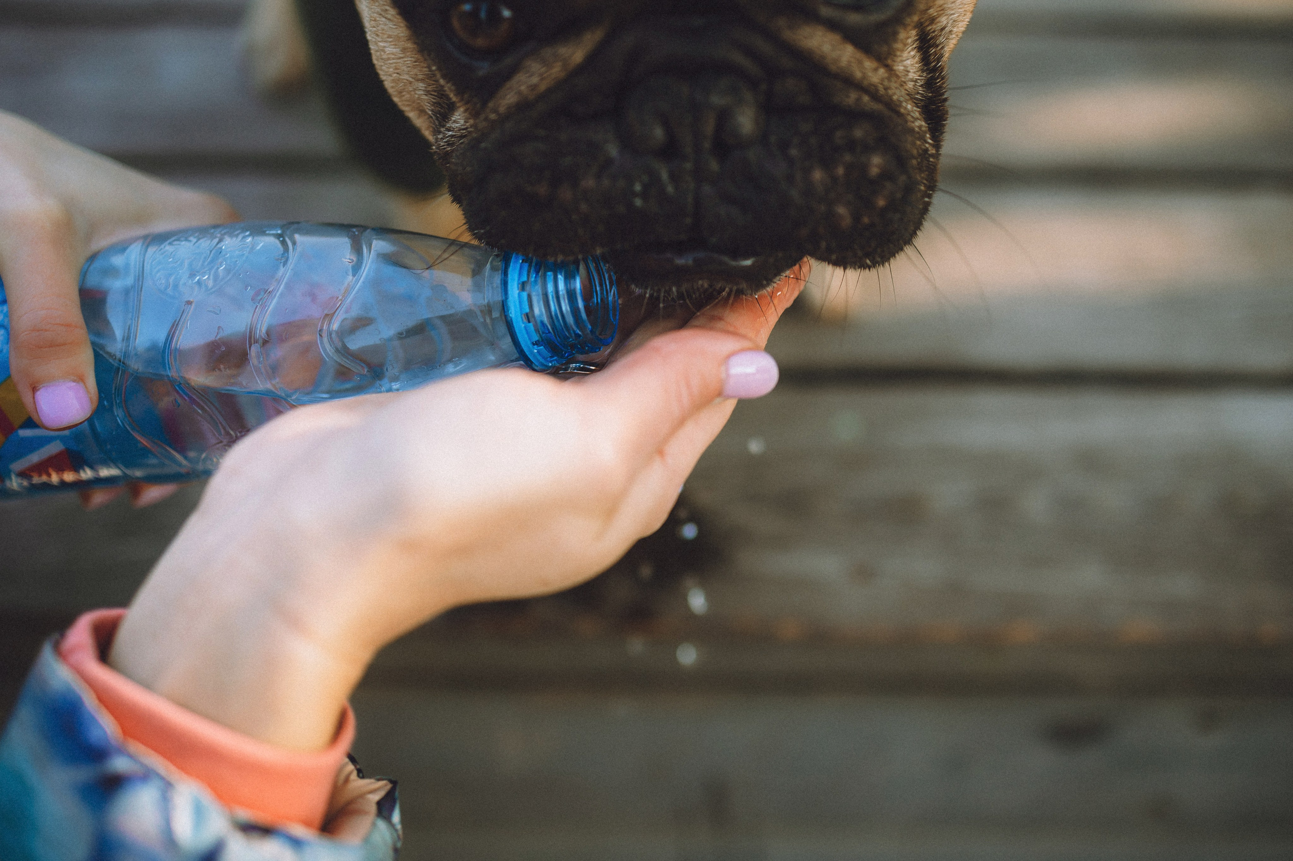 Настя, Женя и Хонор