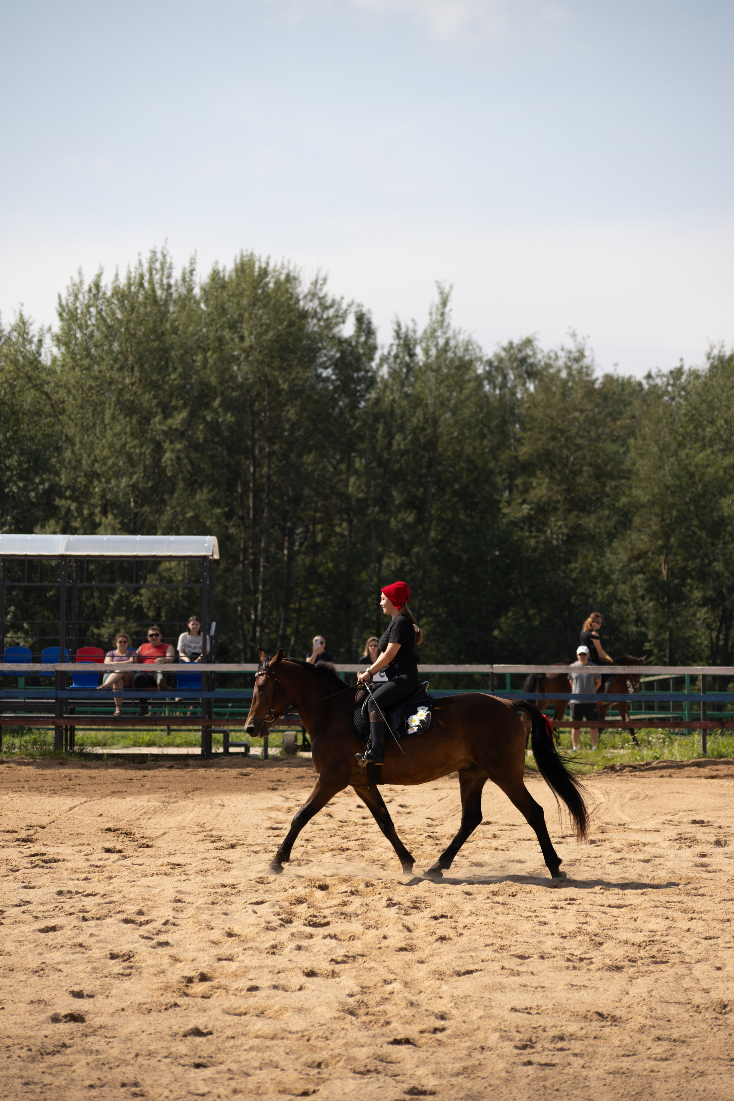 Конюшня. Фотограф в Москве и Истре