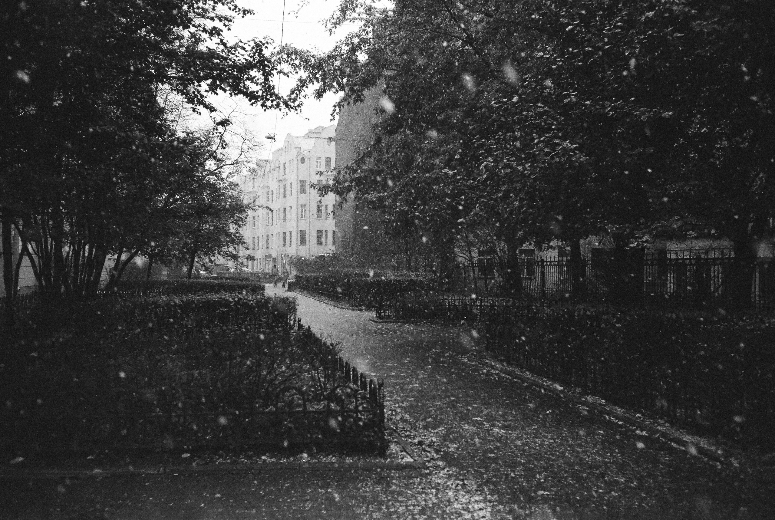 Фотографии черно-белые. Свадебный и семейный пленочный фотограф в Петербурге Истомина Ирина