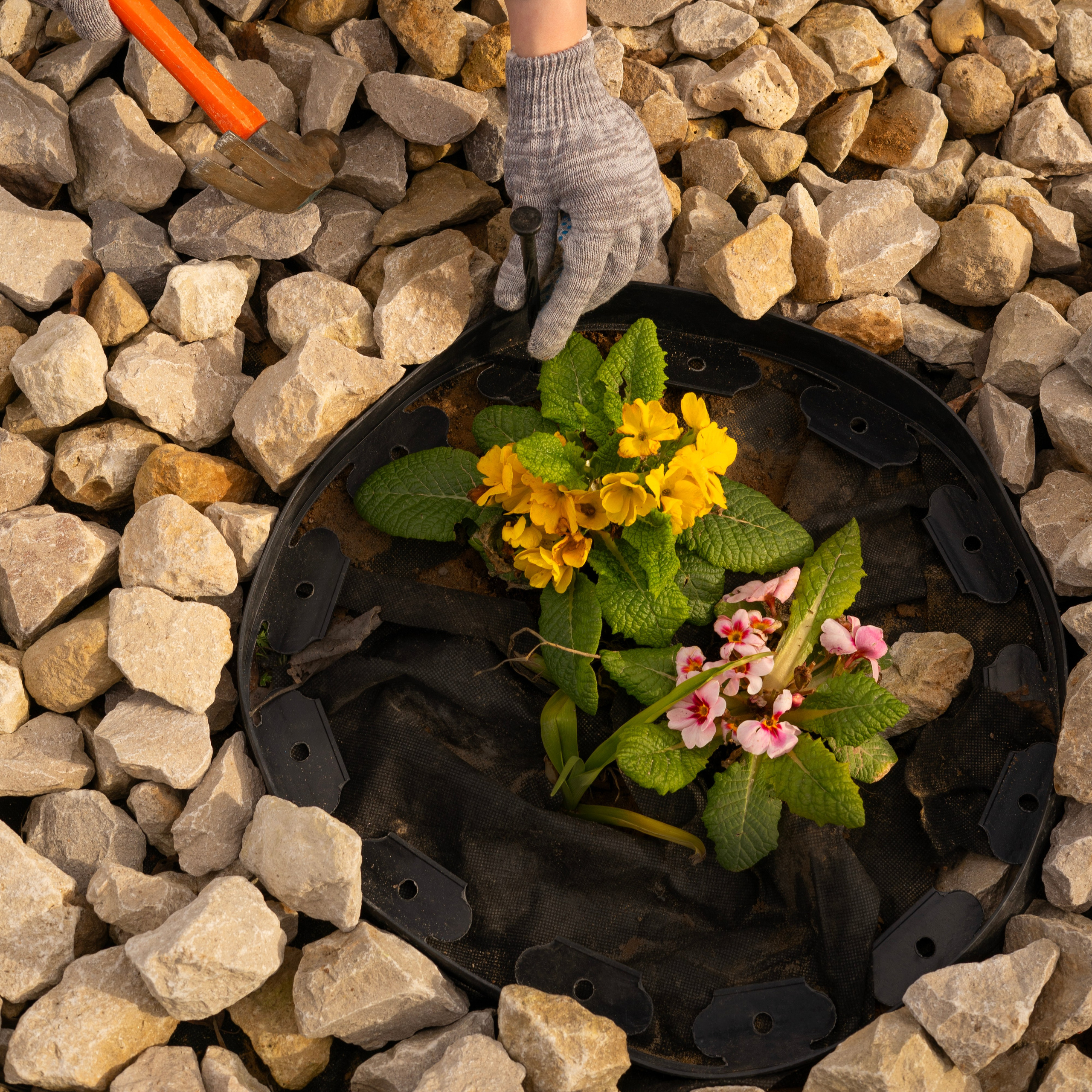 Бордюр садовый. Концептуальный фотограф Шлыкова Ольга