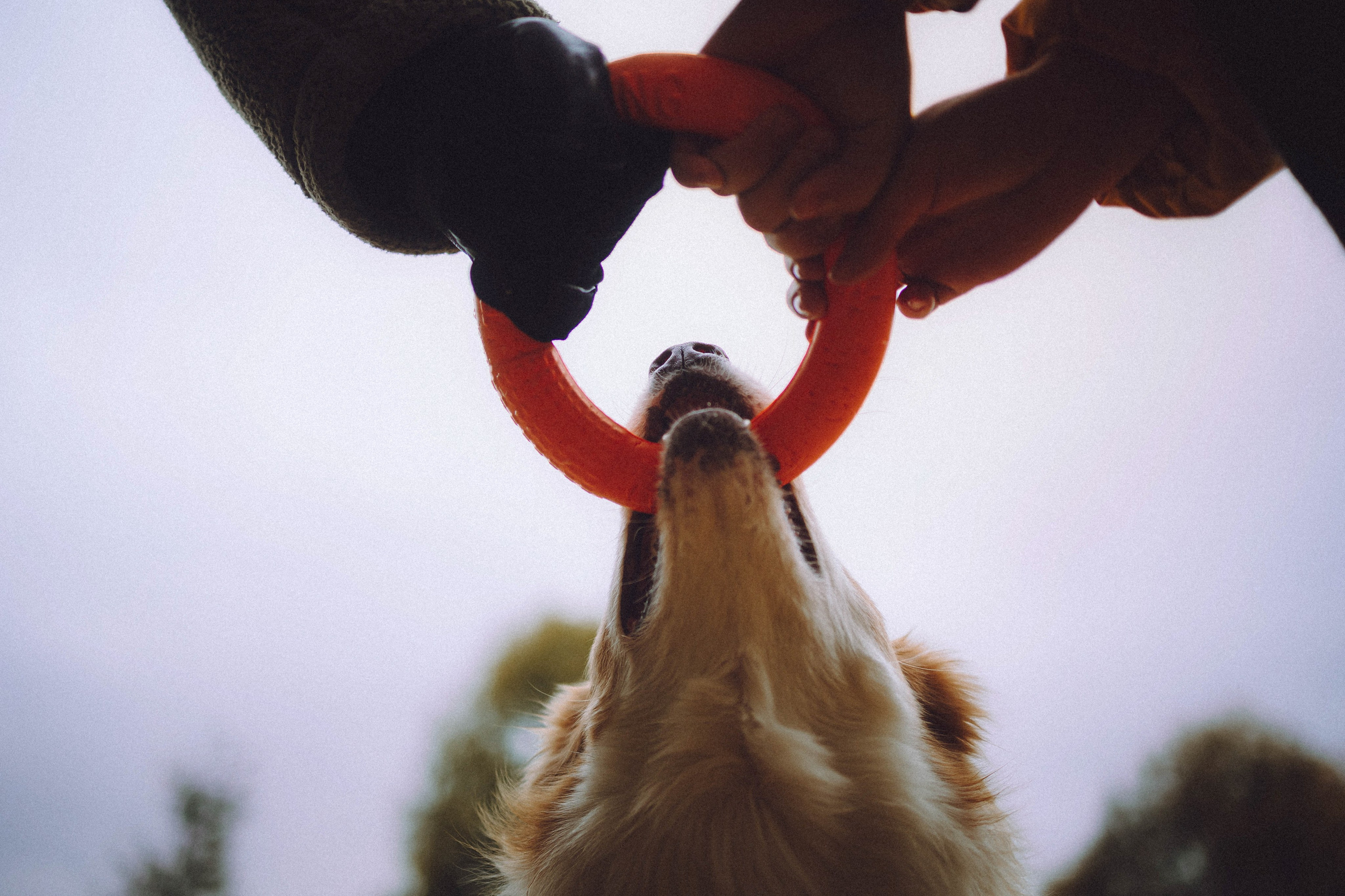 Алина, Витя и Асти