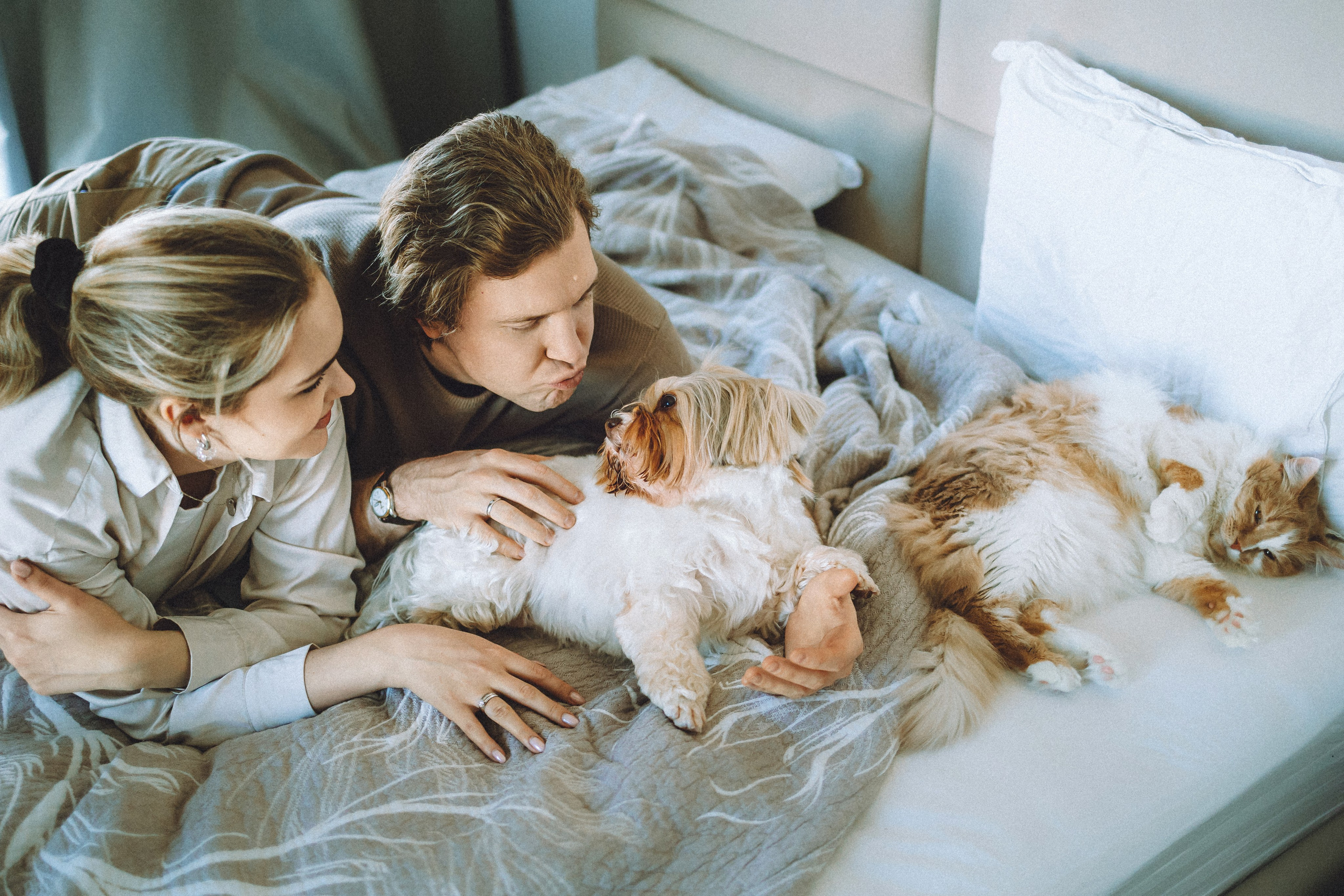 День Рождения Шу