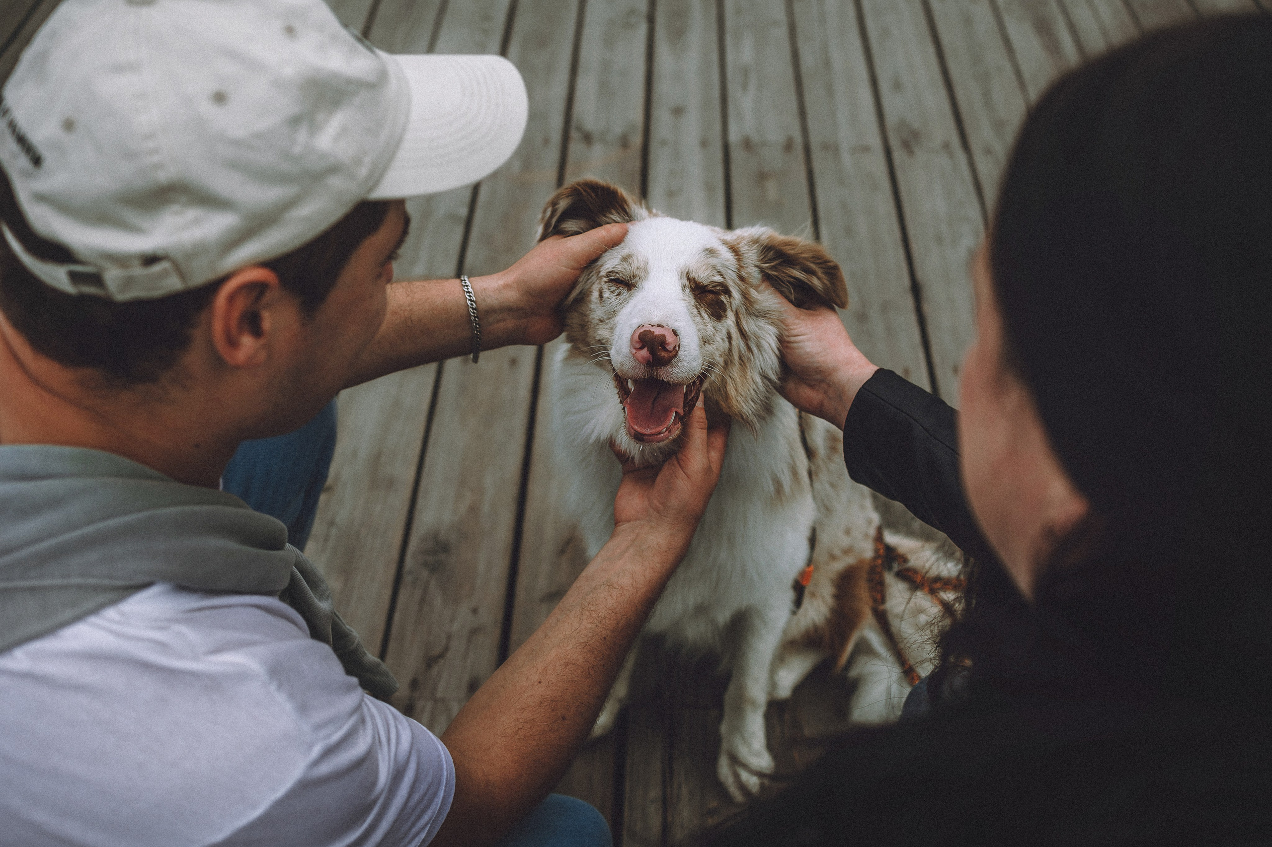 Один и его семья