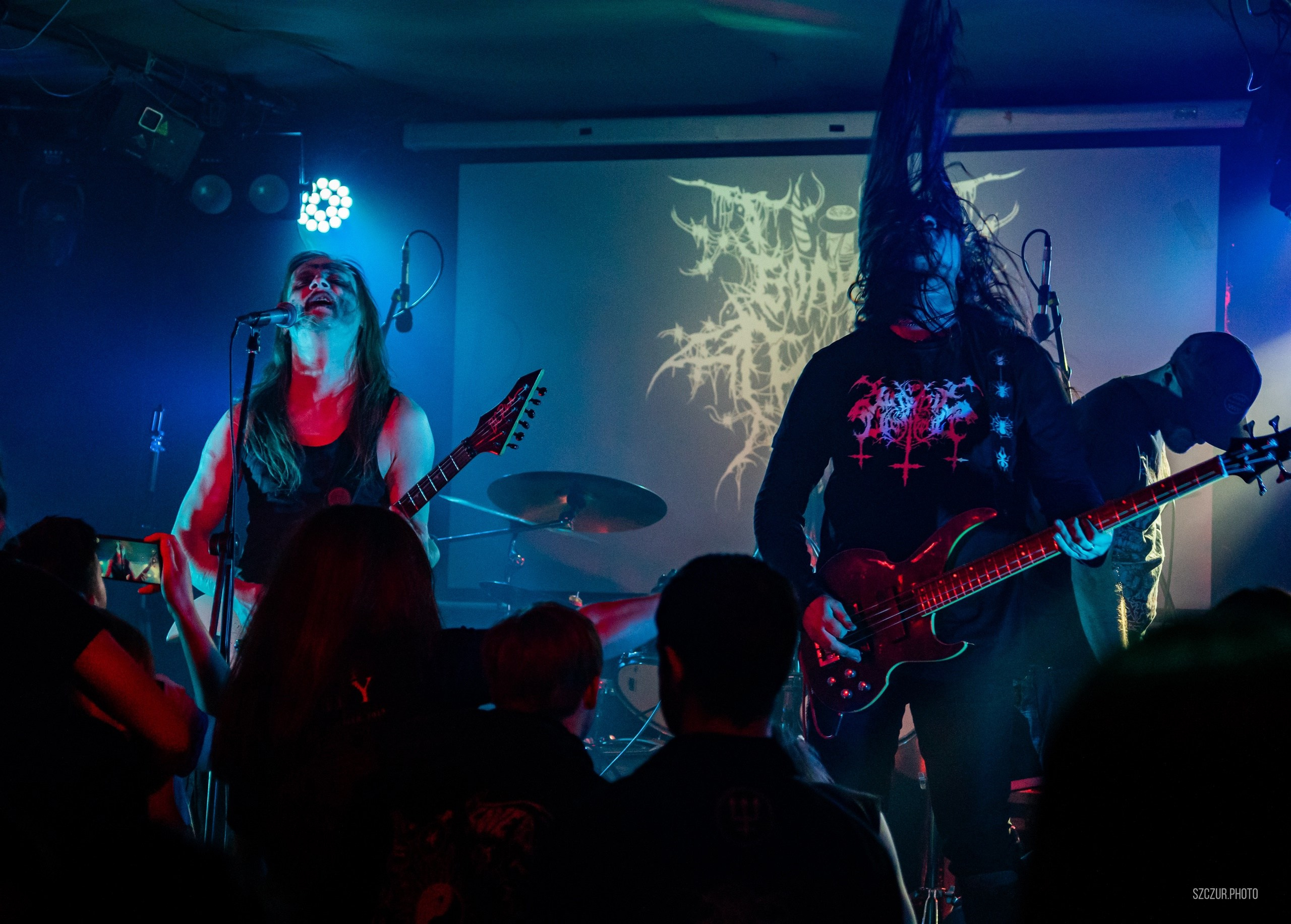 Волчьи Трупы в Городе 6.01.25. Szczur photo