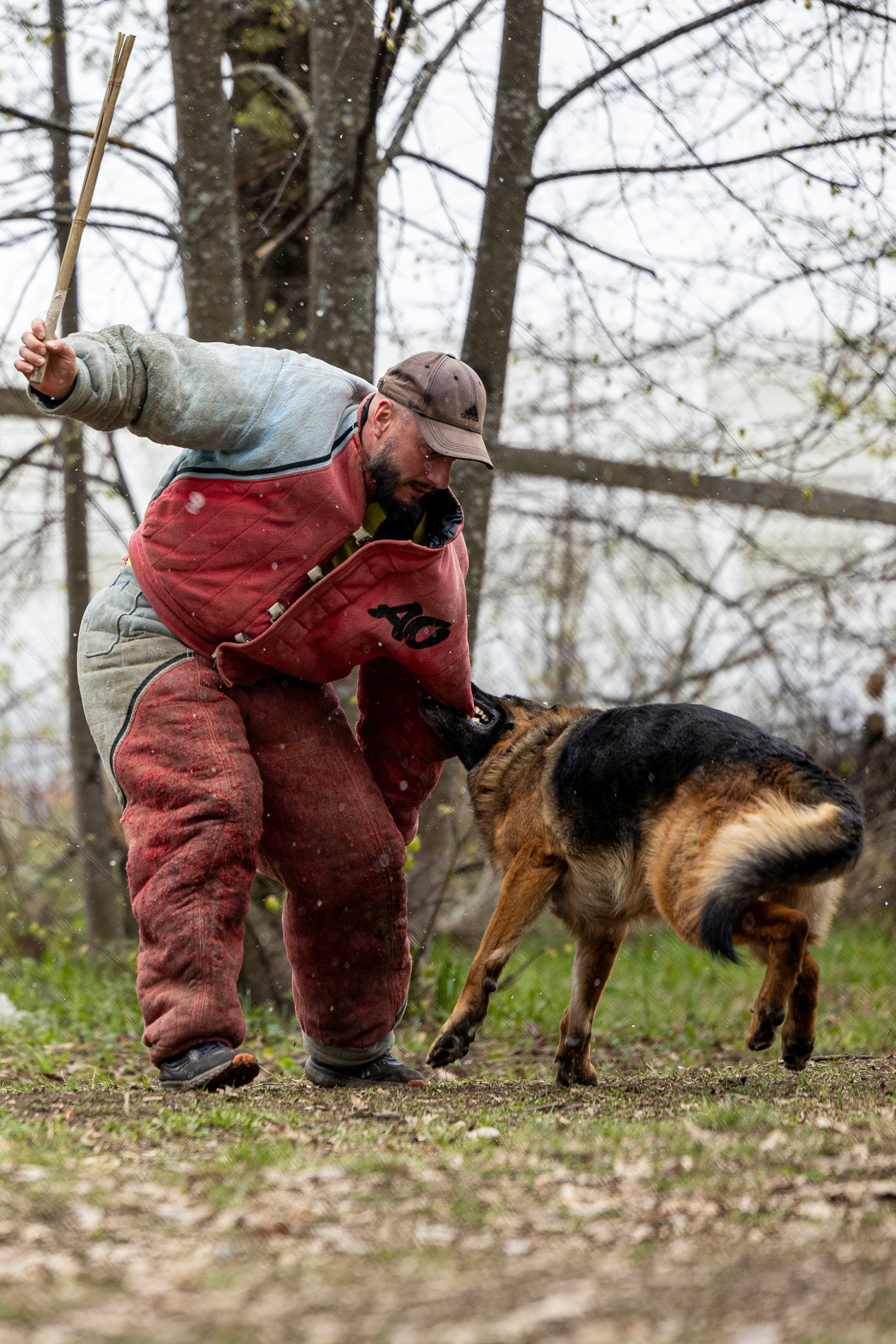 Квалификационные состязания по мондьорингу г. Вологда 11.05.24. Фотограф-анималист Анна Маринич