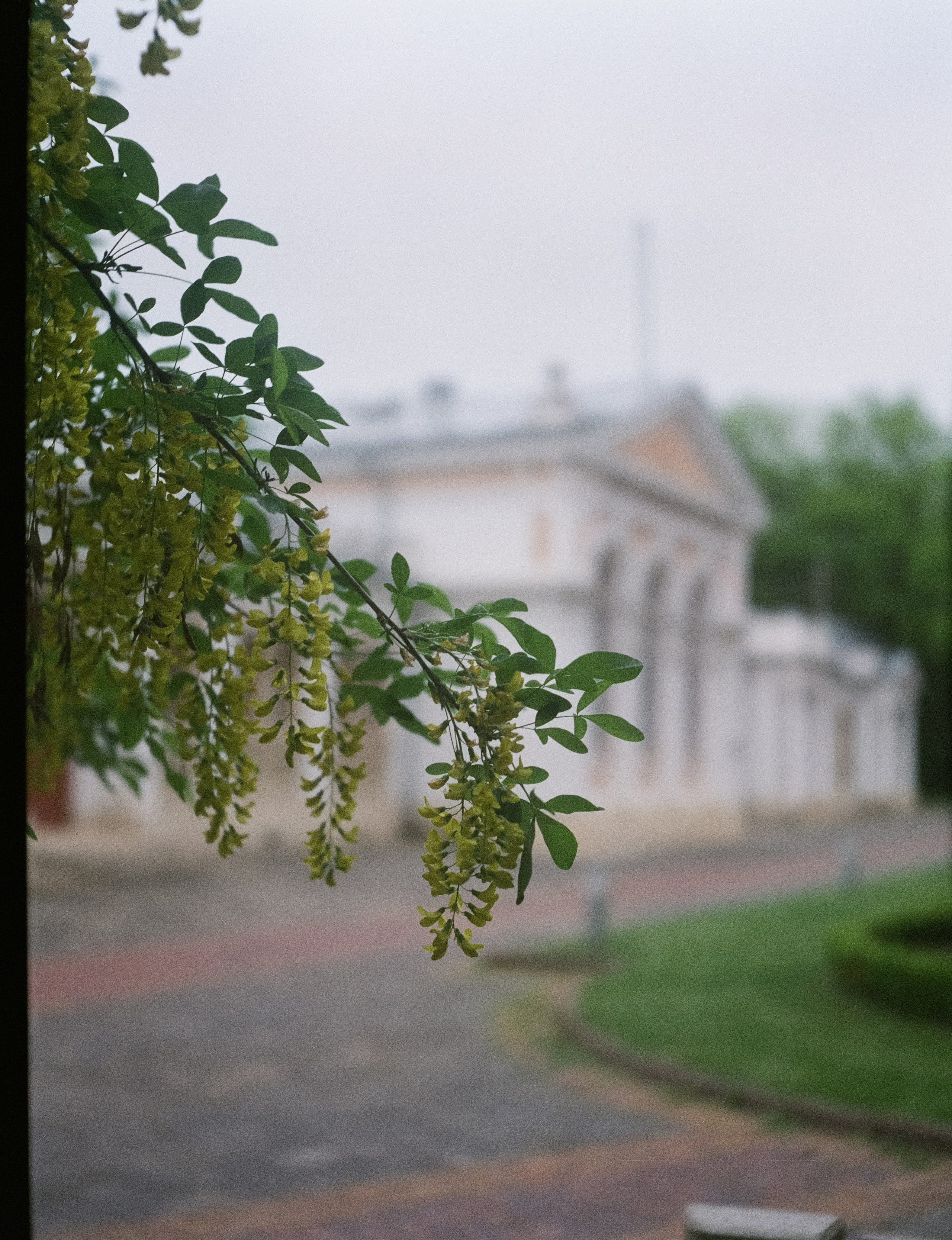 Пятигорск, Ессентуки, трасса / Konishiroku (Konica) Pearl II