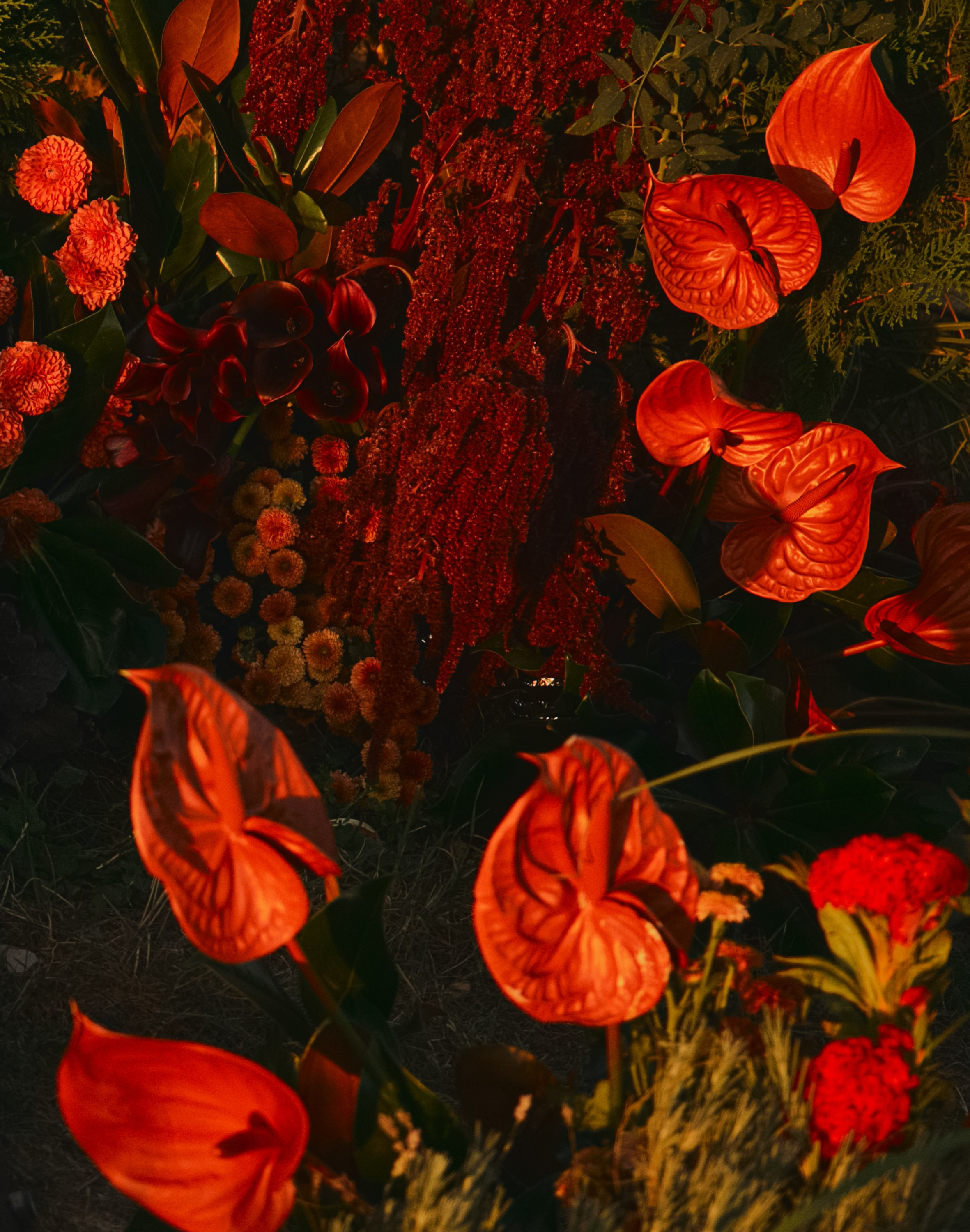 Between. Семейный и свадебный фотограф в Краснодаре