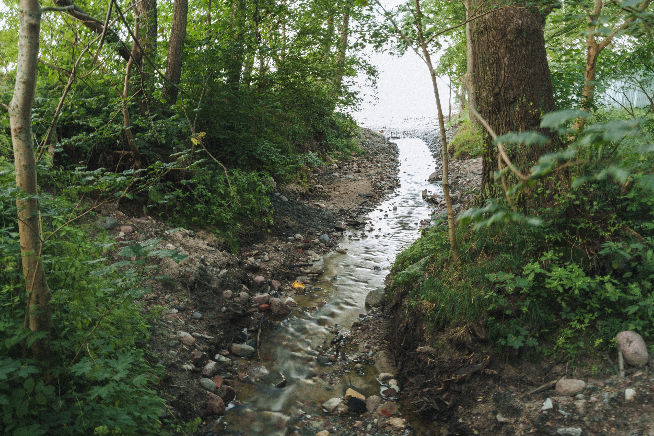 Балтийское море — Калининград. Репортажный, свадебный и портретный фотограф в Казани | Ринат Миниханов