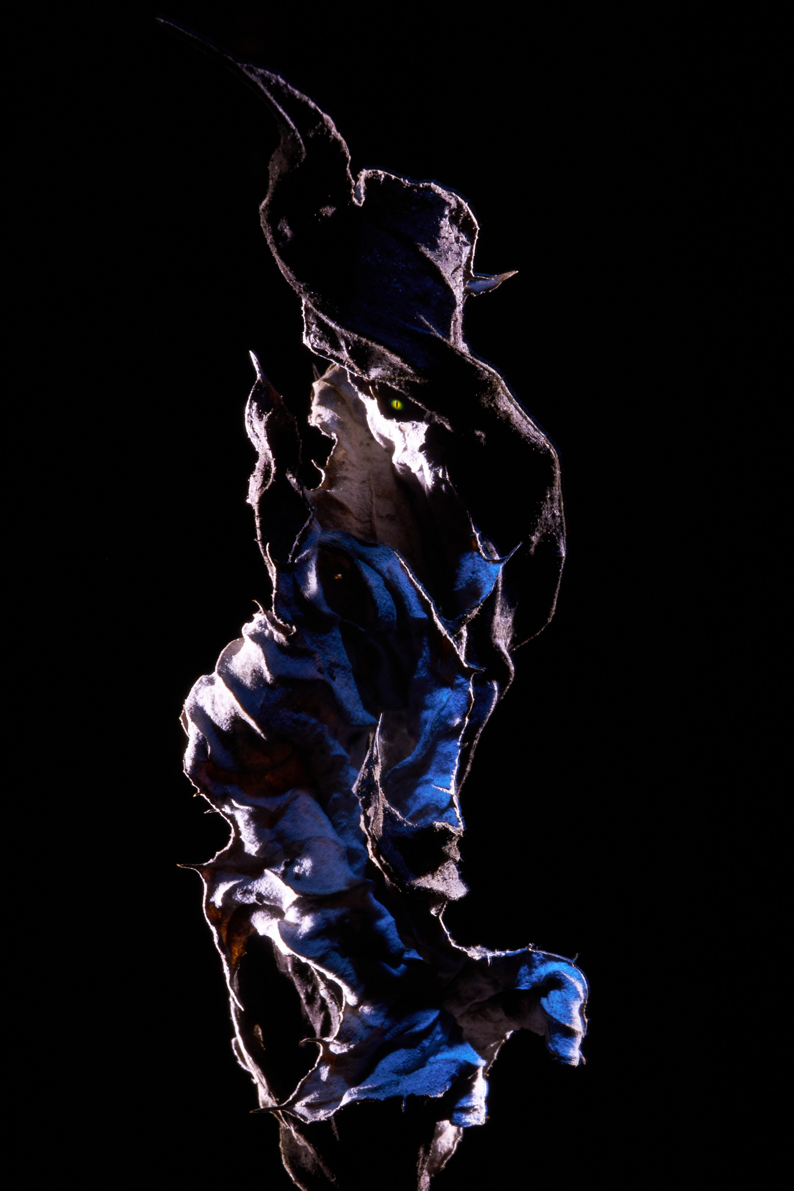 Милые Монстры или Тёмная Сторона. Репортажный Фотограф во Владивостоке и России Осипчук Дмитрий