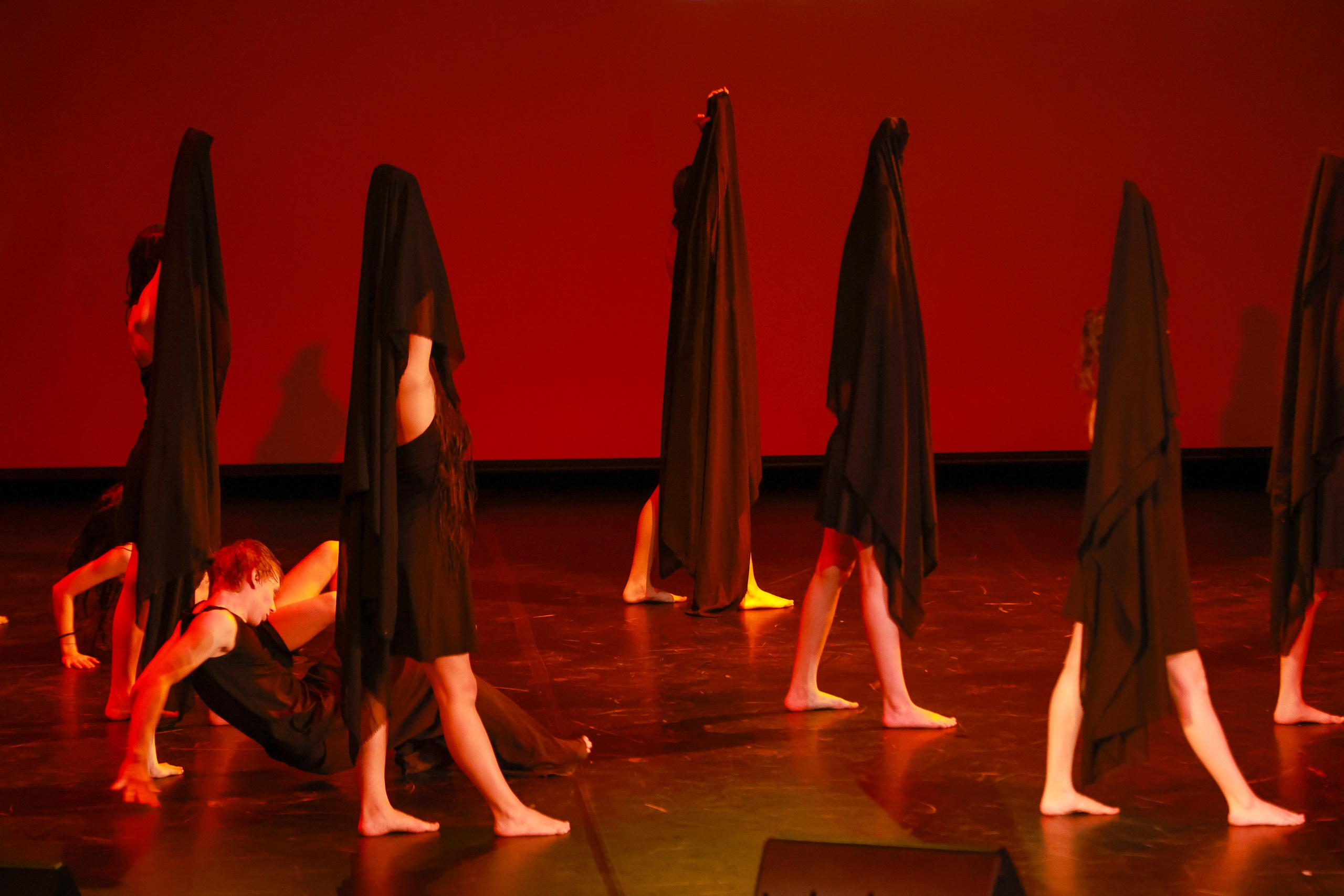 Небесные ласточки на Танц ЭКСПО 2026. Фотограф Юлия Мальцева