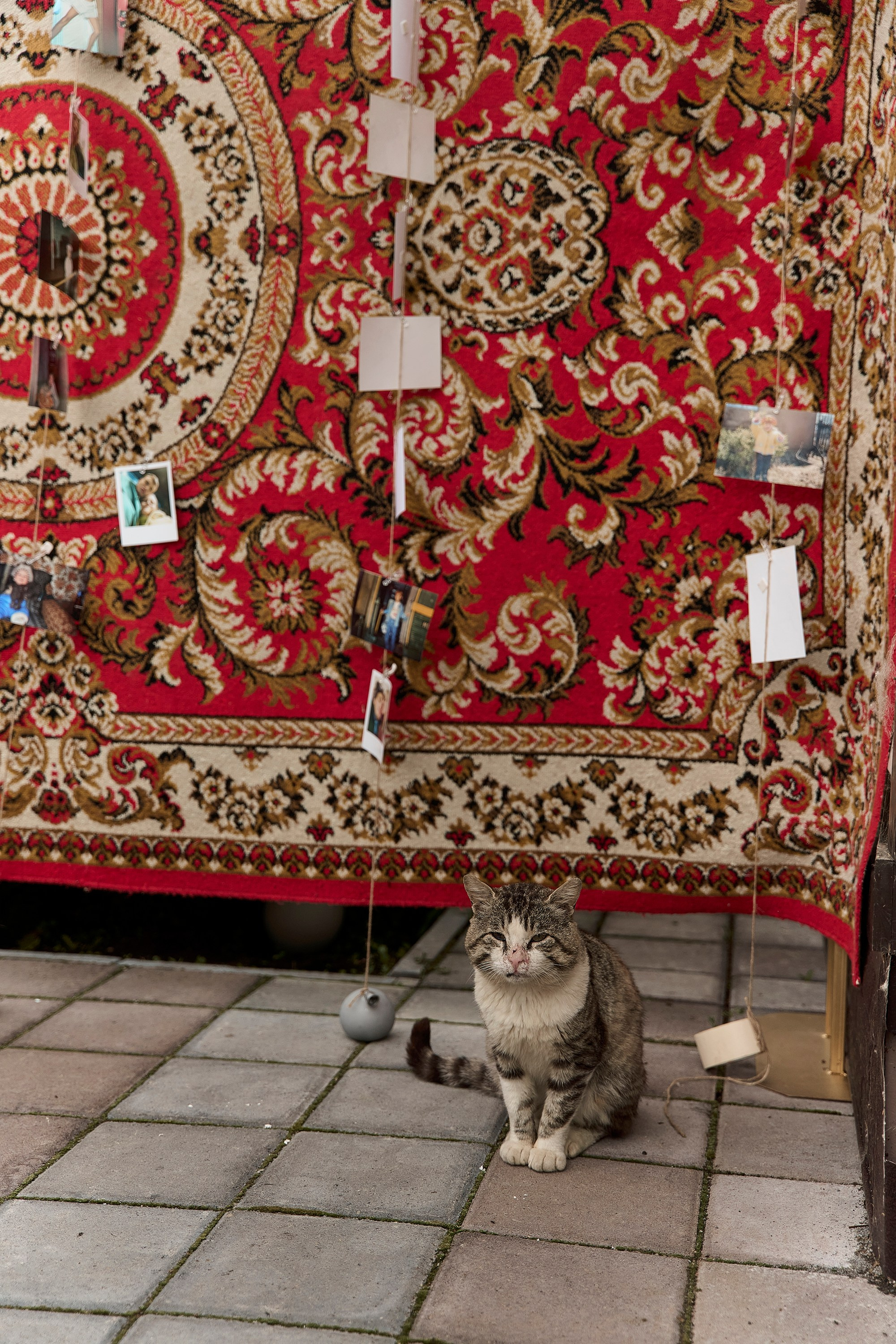 Вечеринка в Коряках. ФОТОГРАФ КАМЧАТКА