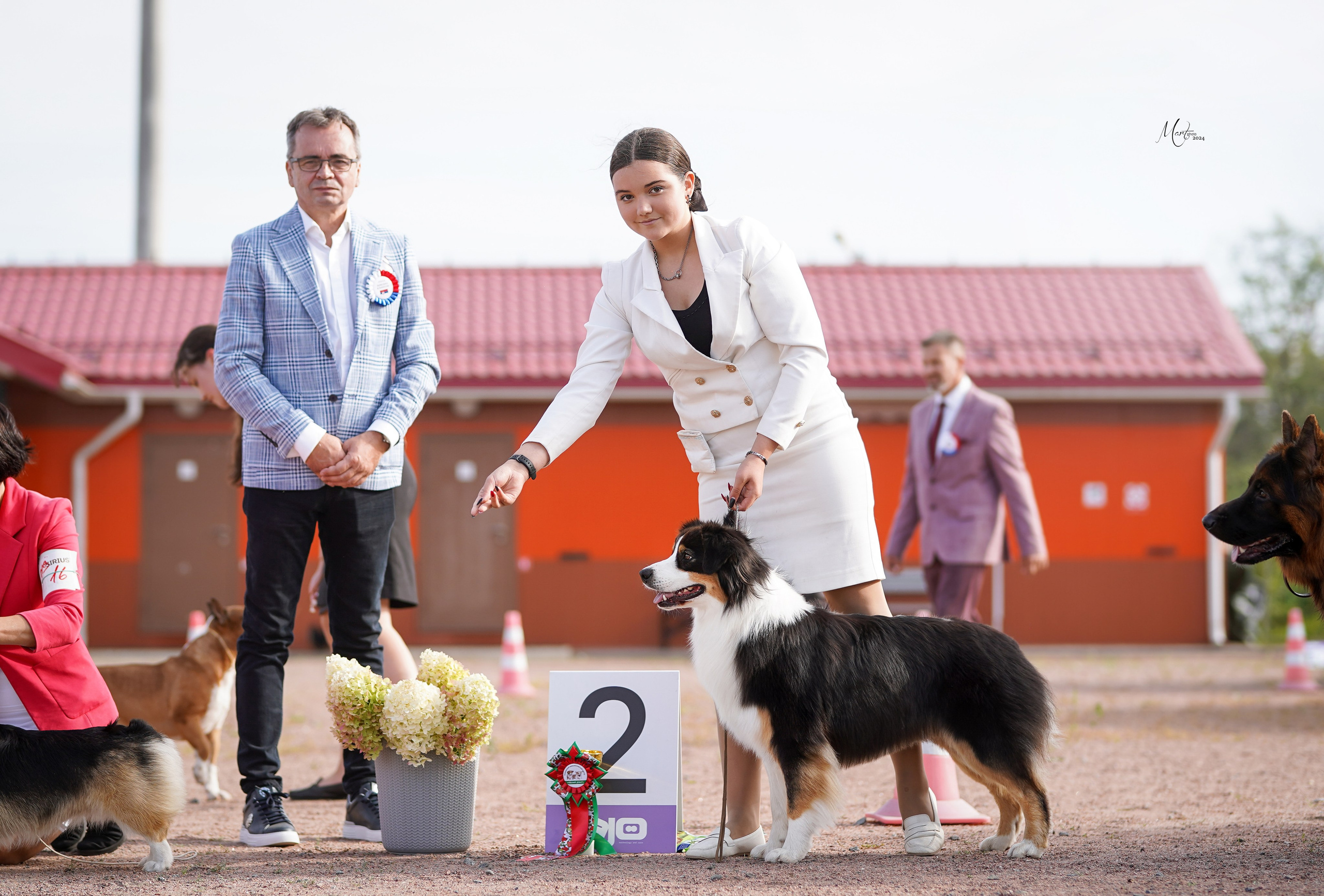 Выставки 2024. Фотограф-анималист в Санкт-Петербурге Яна Мартынова