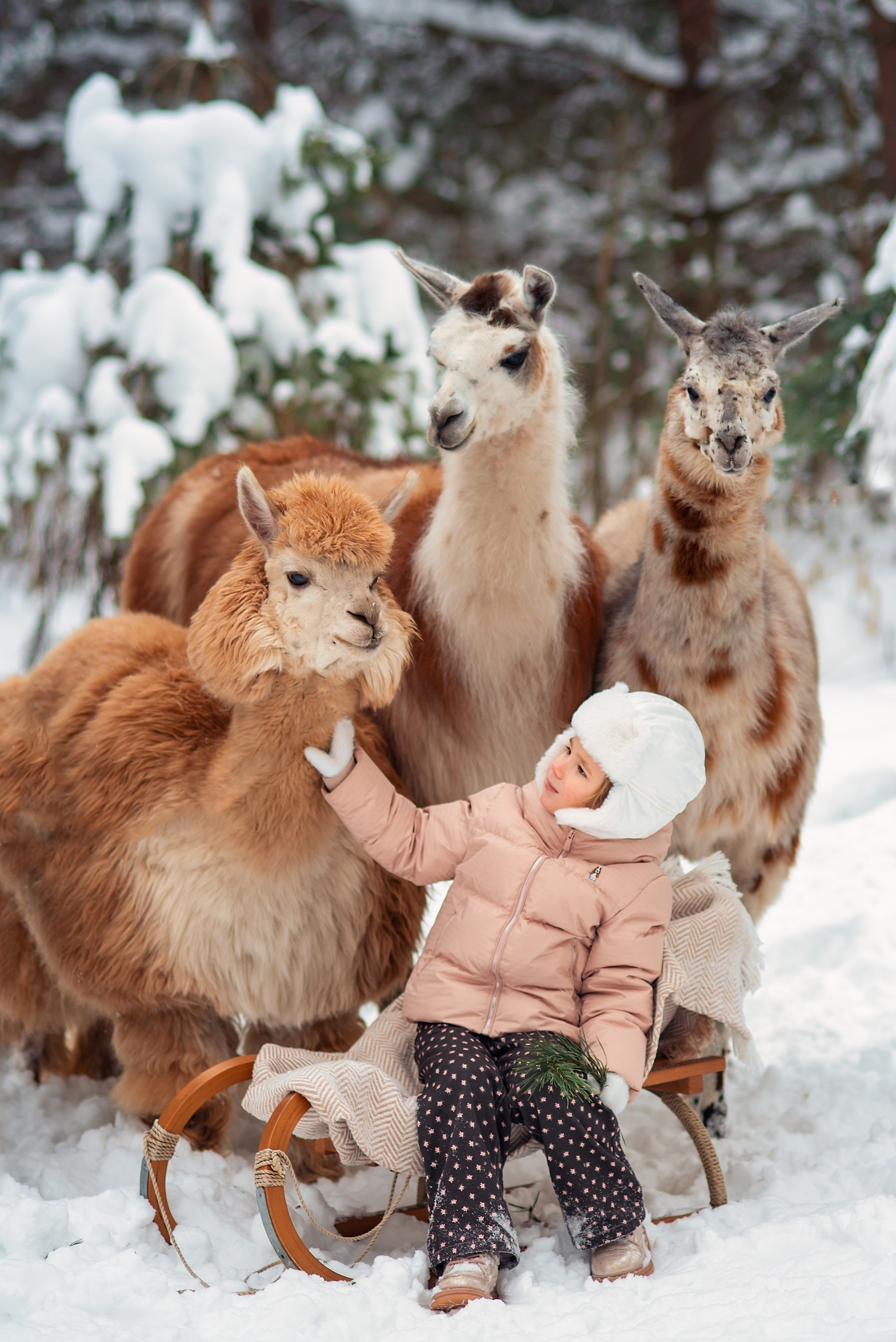 СЕМЕЙНАЯ ФОТОСЕССИЯ НА ПРИРОДЕ. Главная