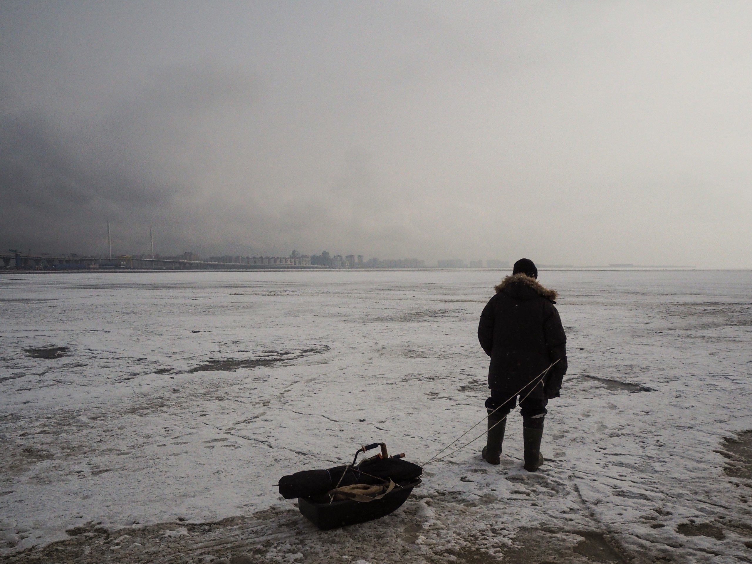 The park (2017). Künstler Verstecktoff