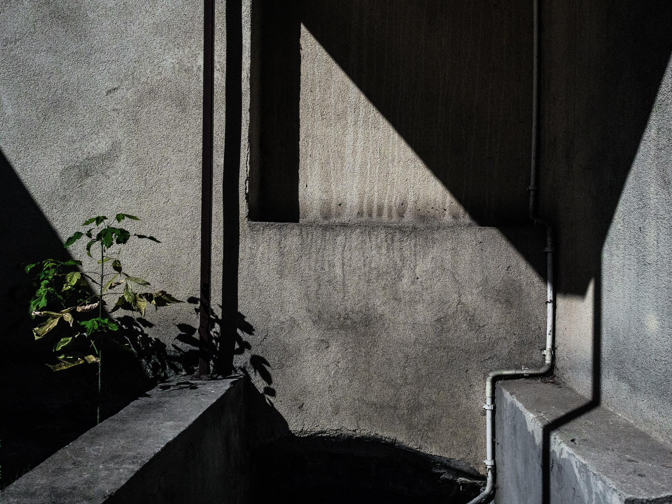 Poland. Künstler Verstecktoff