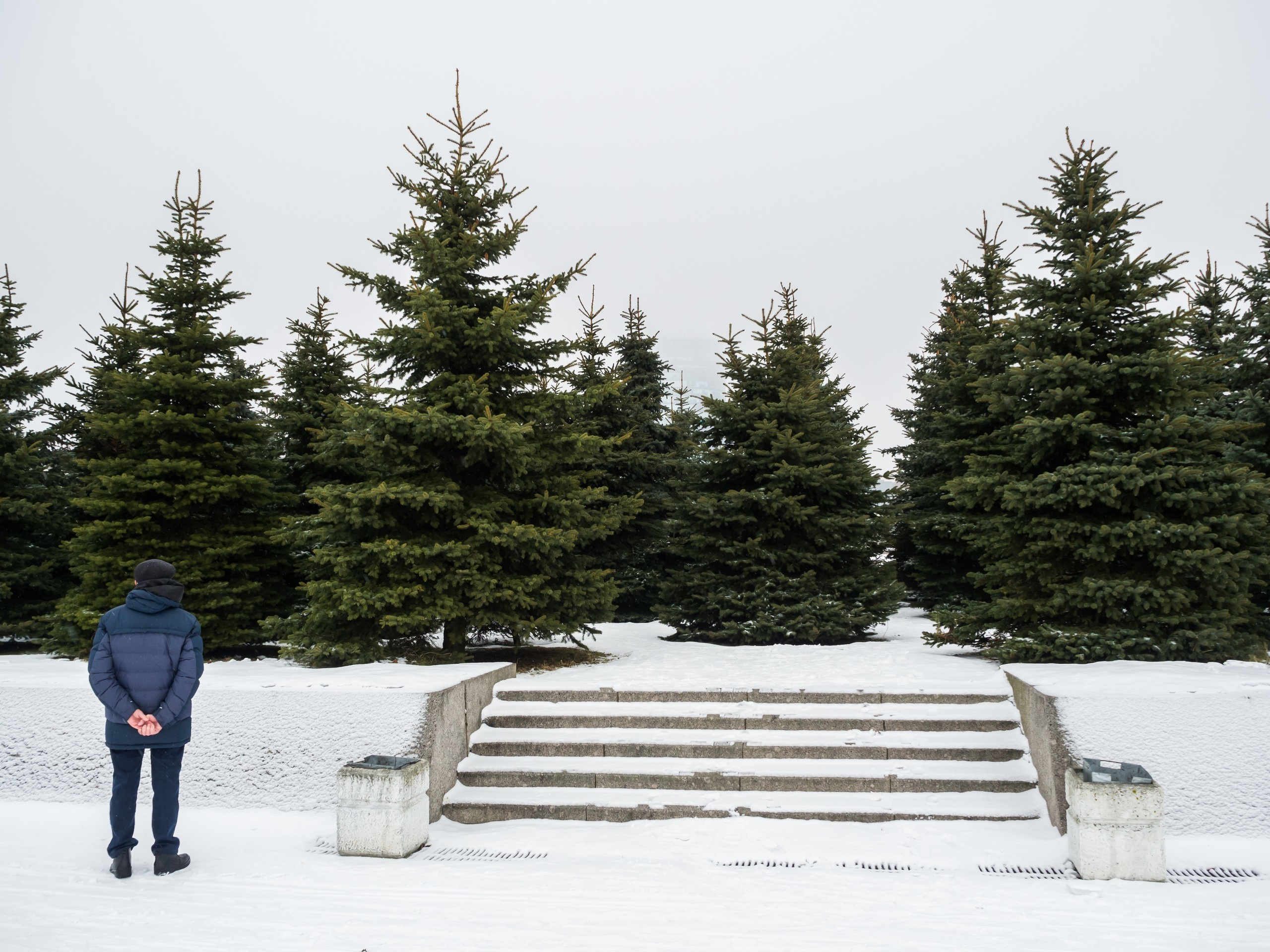 The park (2017). Künstler Verstecktoff