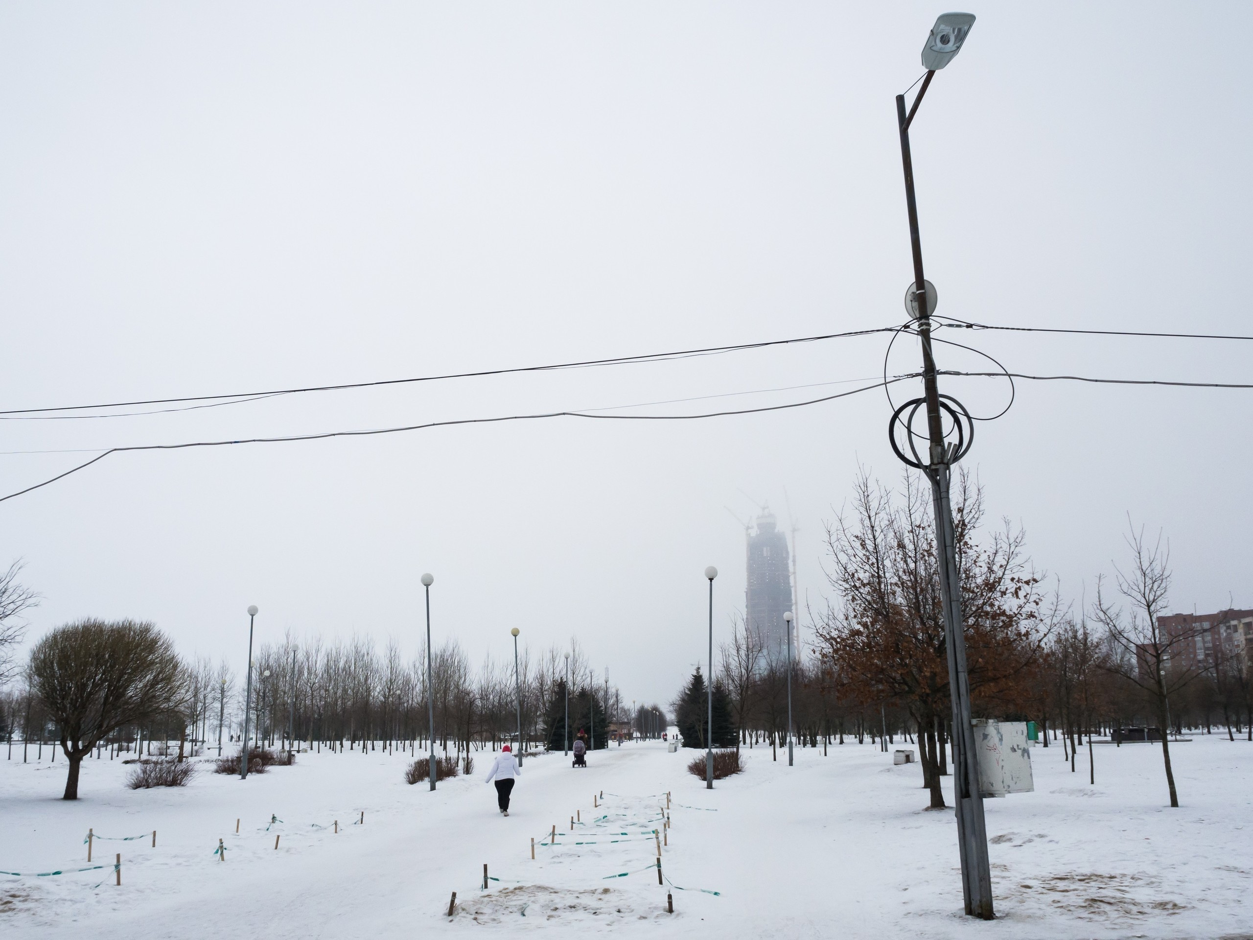 The park (2017). Künstler Verstecktoff