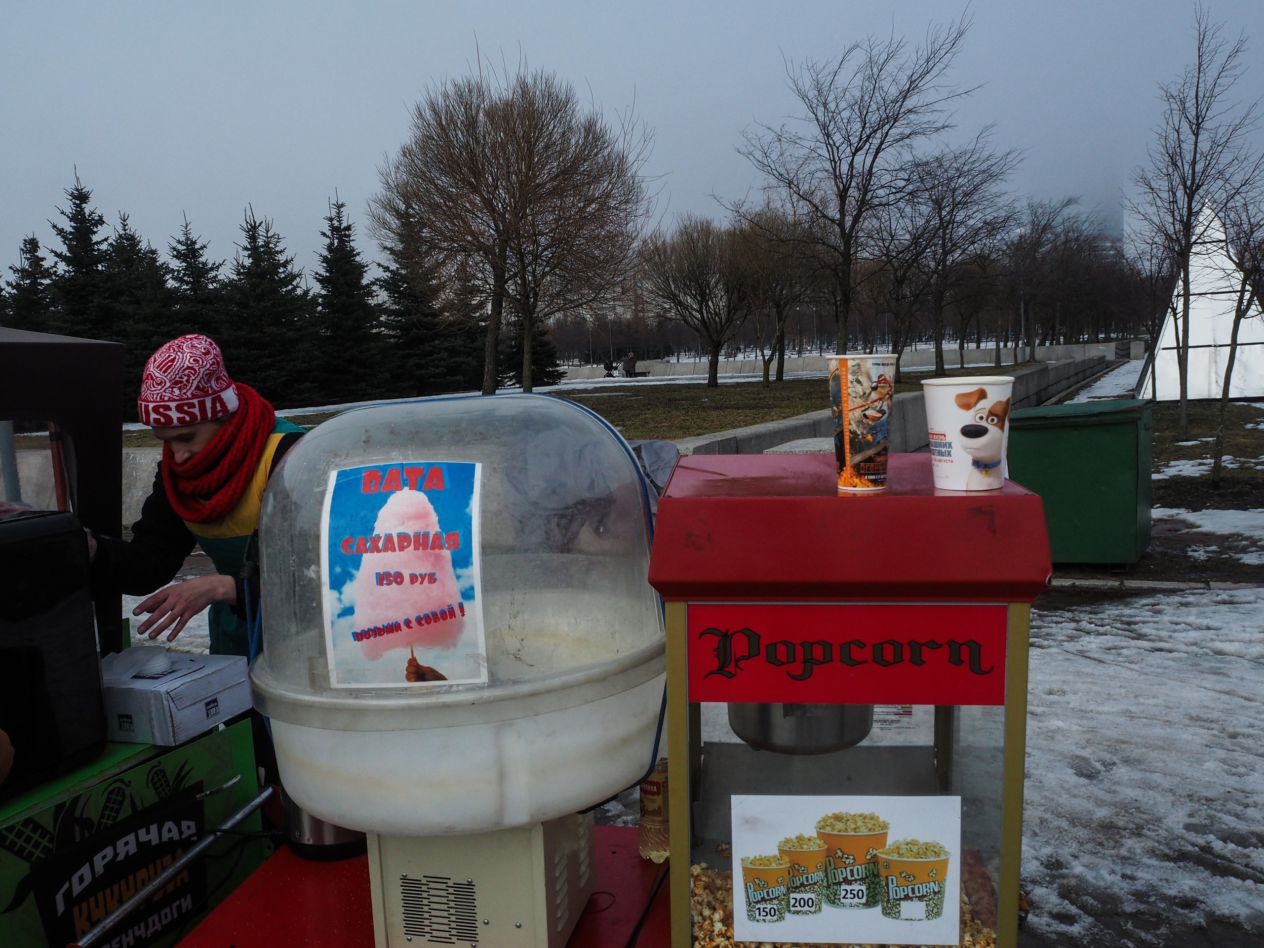 The park (2017). Künstler Verstecktoff