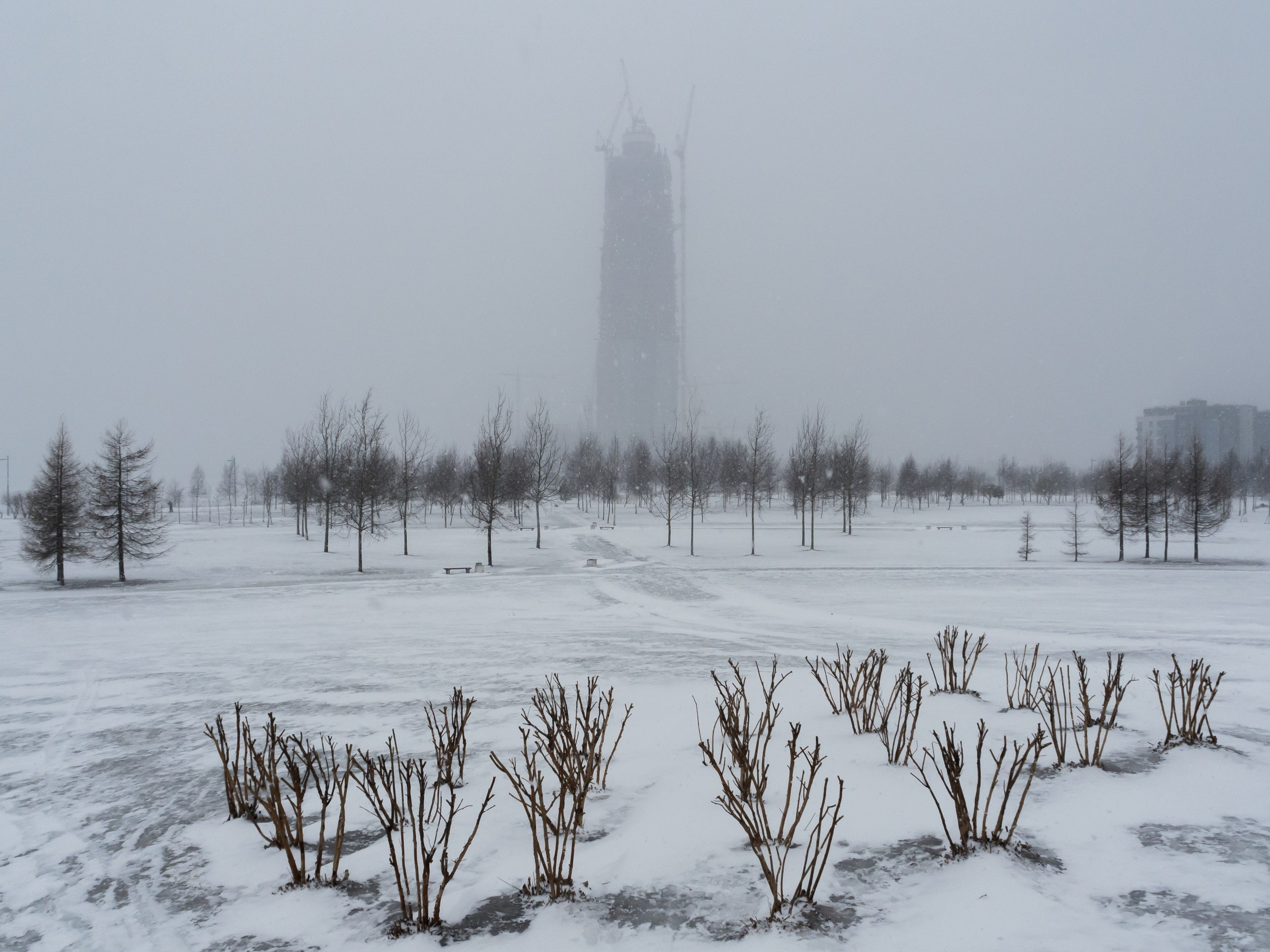 The park (2017). Künstler Verstecktoff