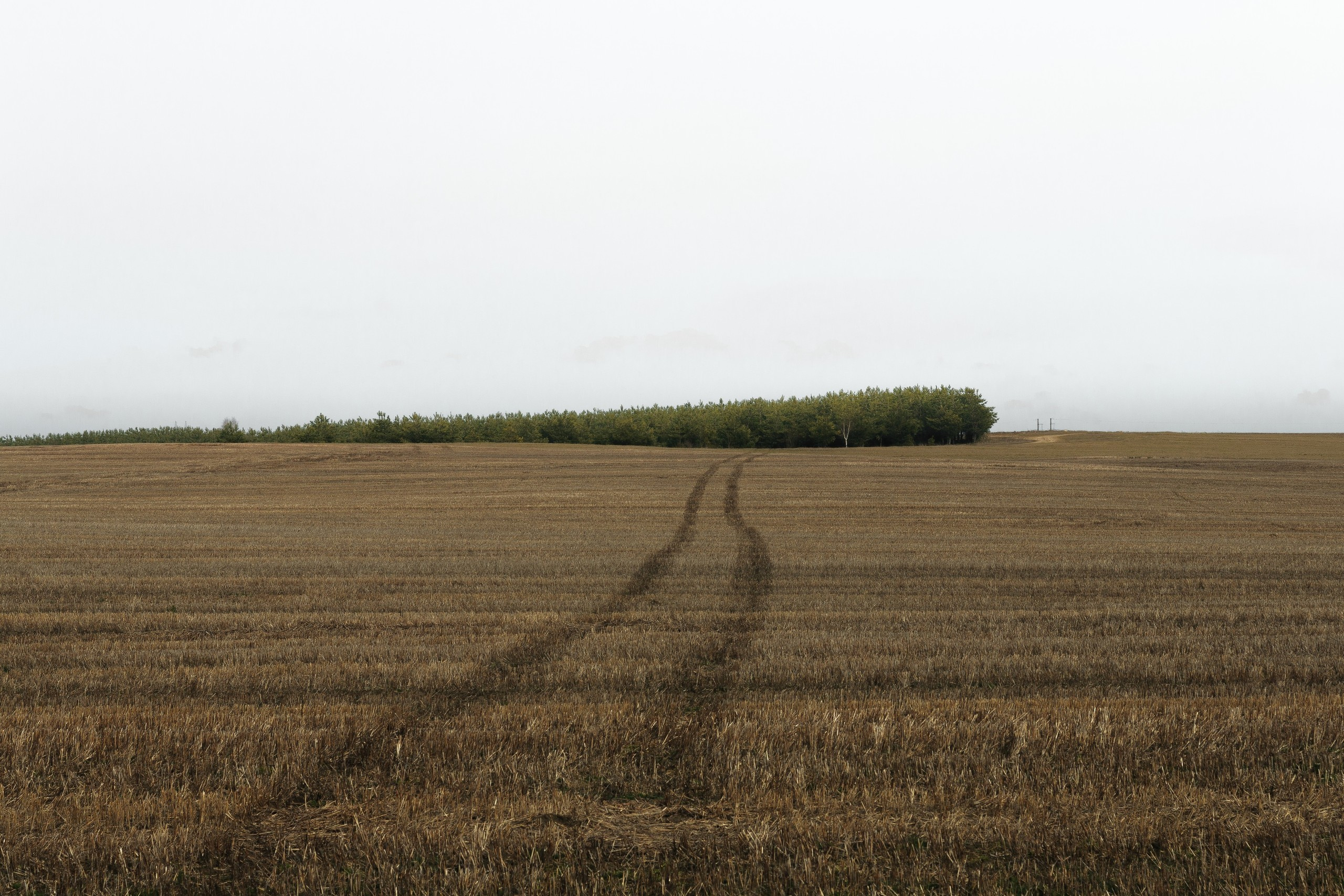 Belarus. Künstler Verstecktoff