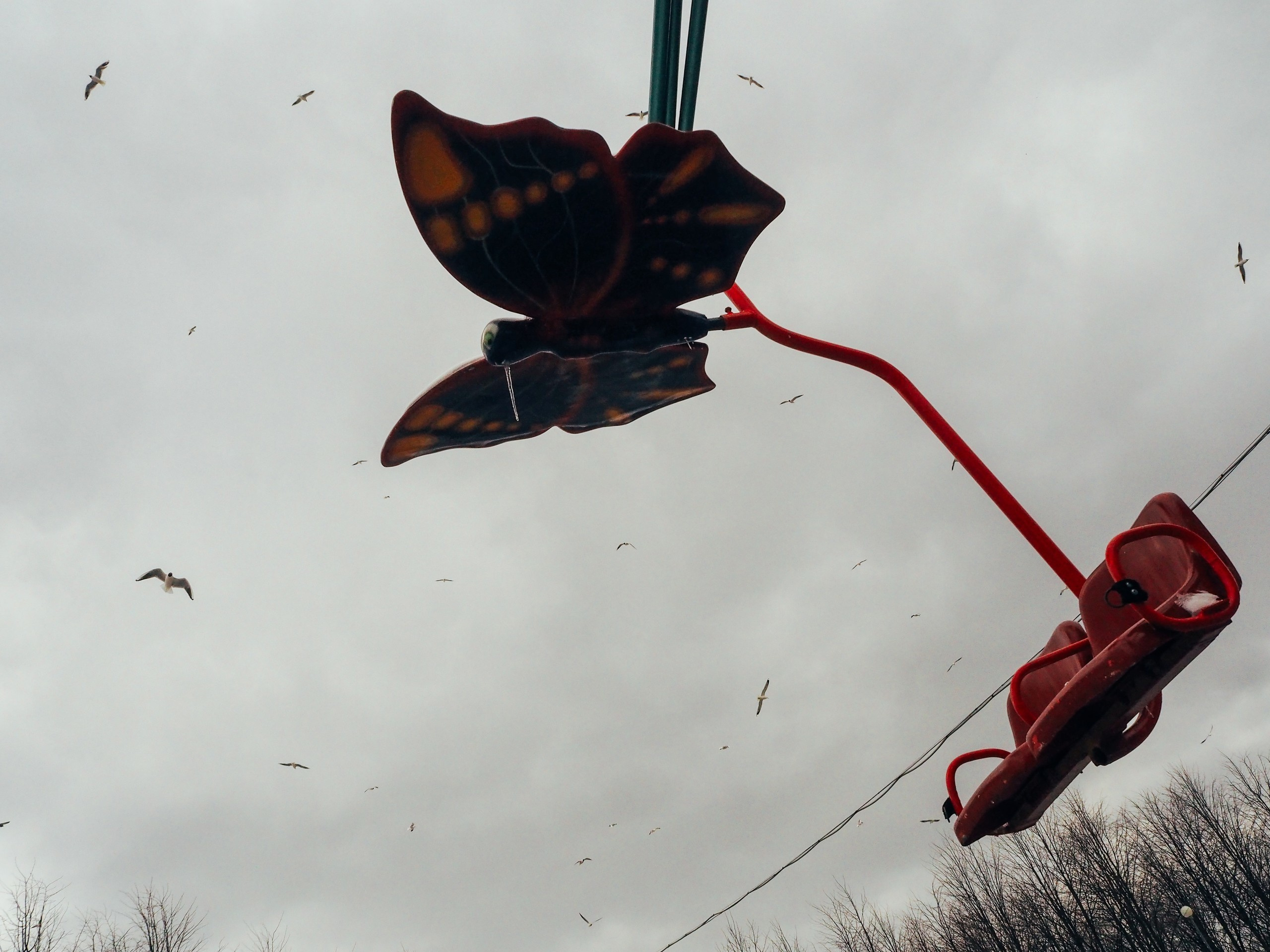 The park (2017). Künstler Verstecktoff