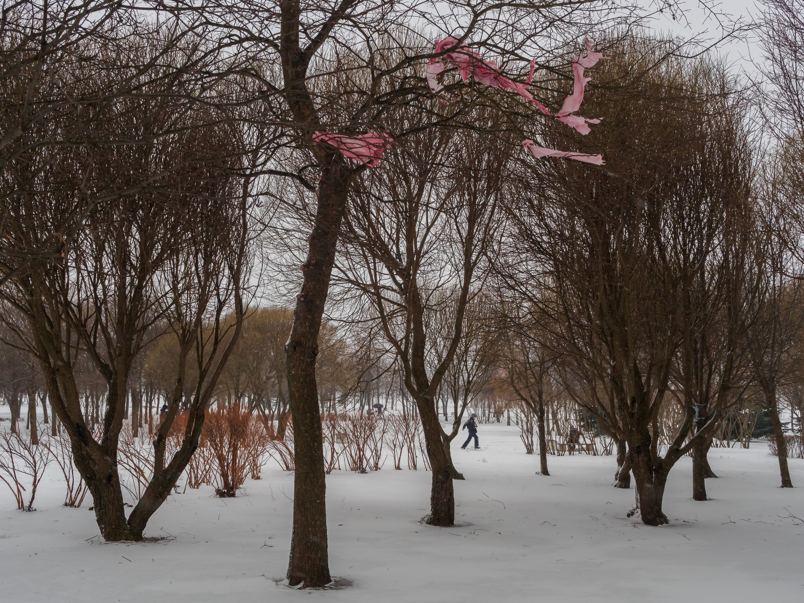 The park (2017). Künstler Verstecktoff