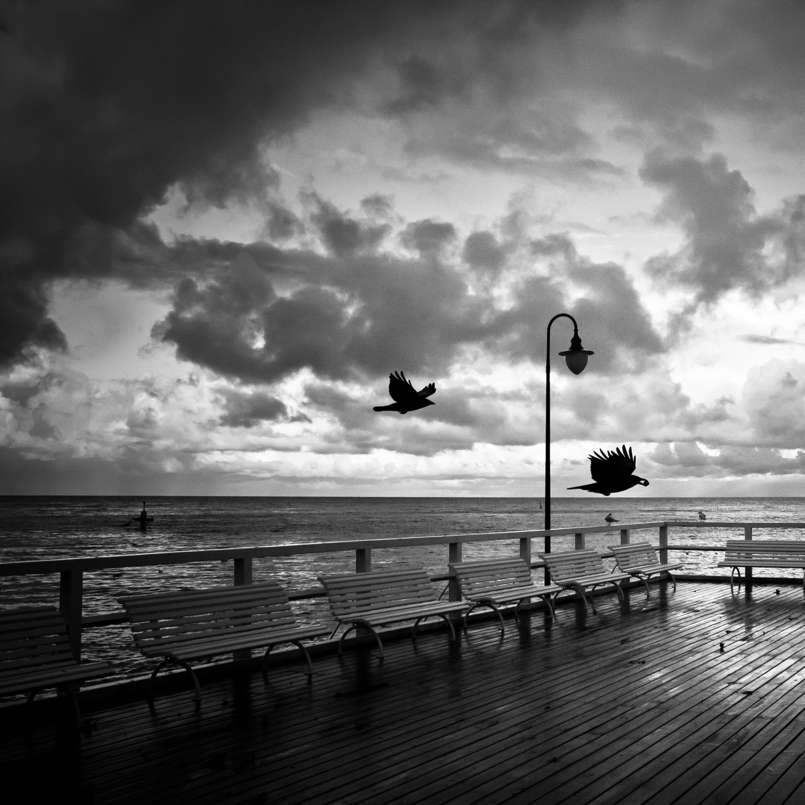 Poland. Künstler Verstecktoff