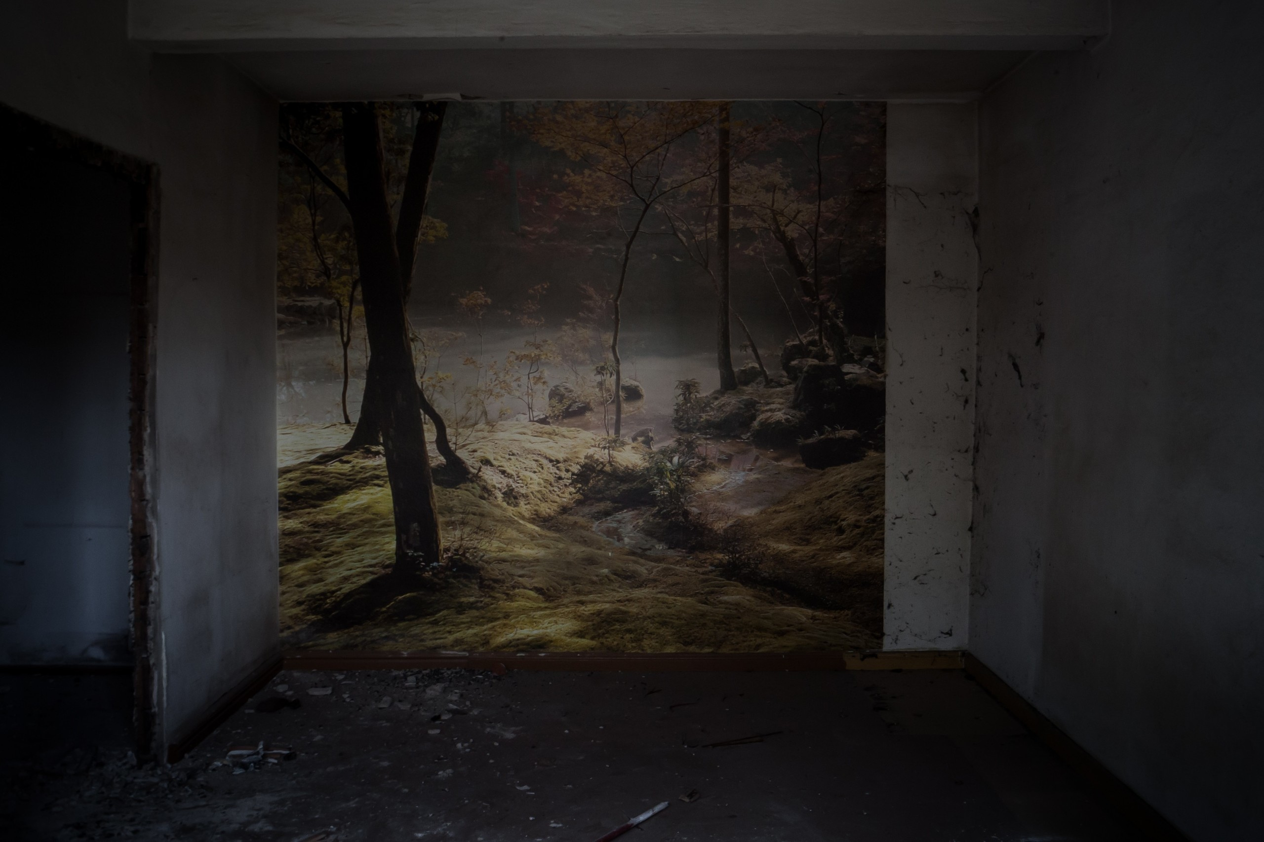 Poland. Künstler Verstecktoff