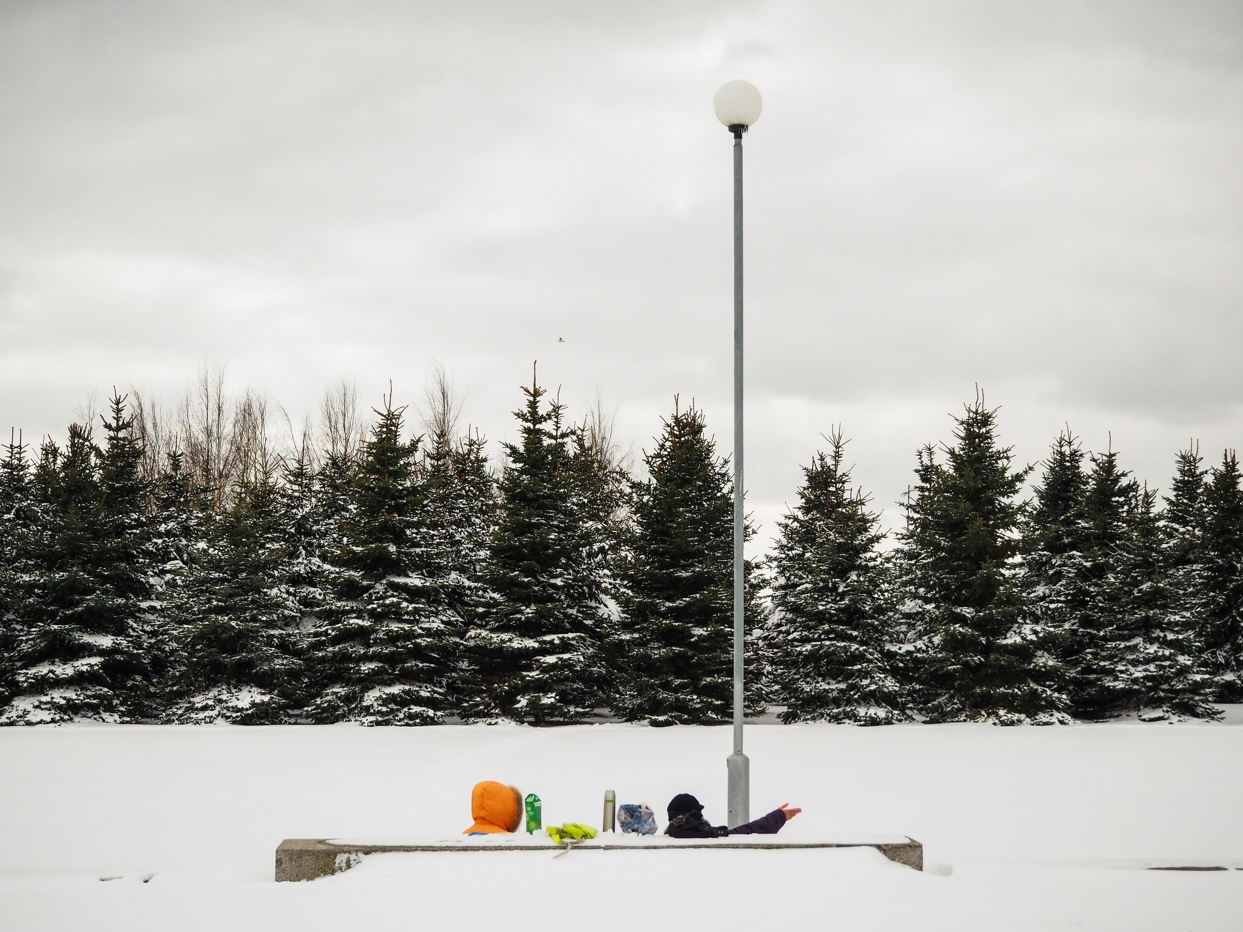 The park (2017). Künstler Verstecktoff