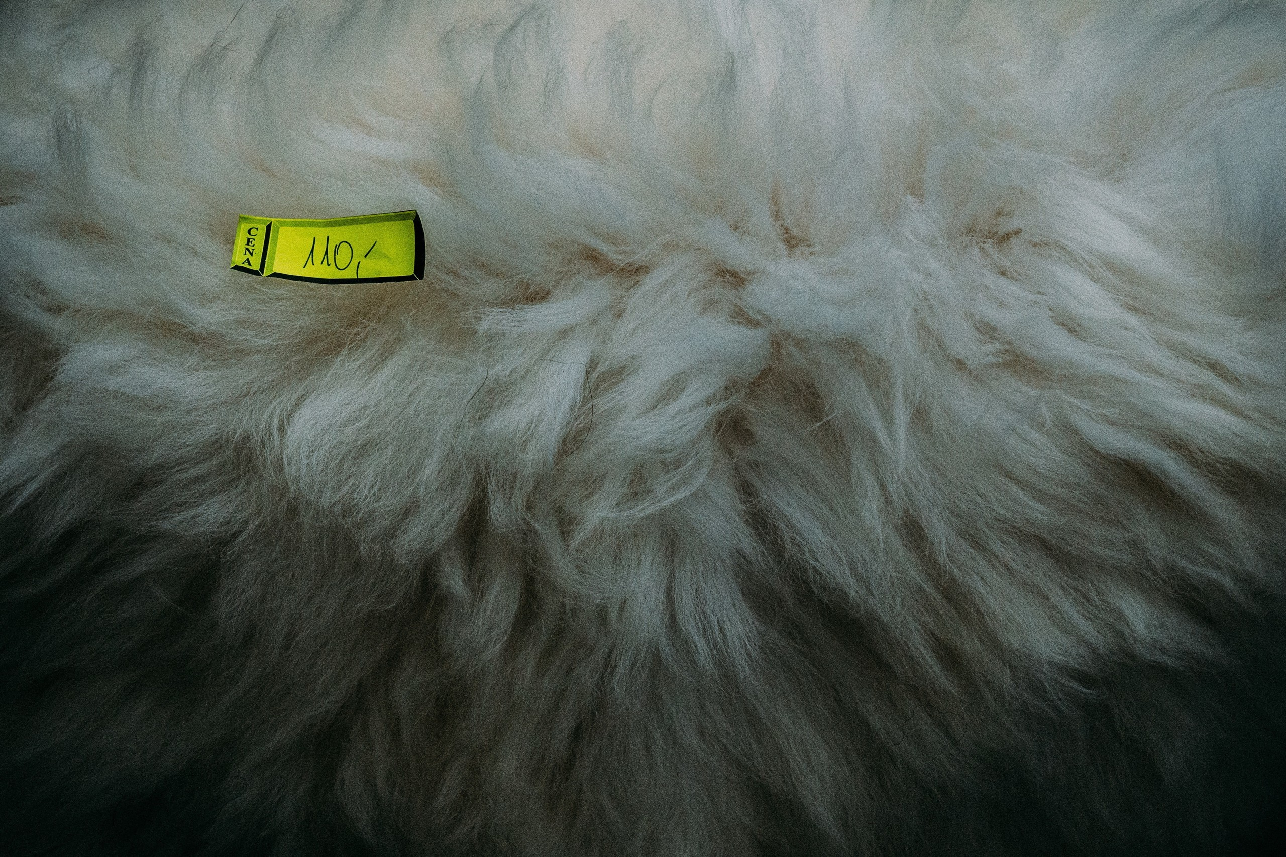 Poland. Künstler Verstecktoff