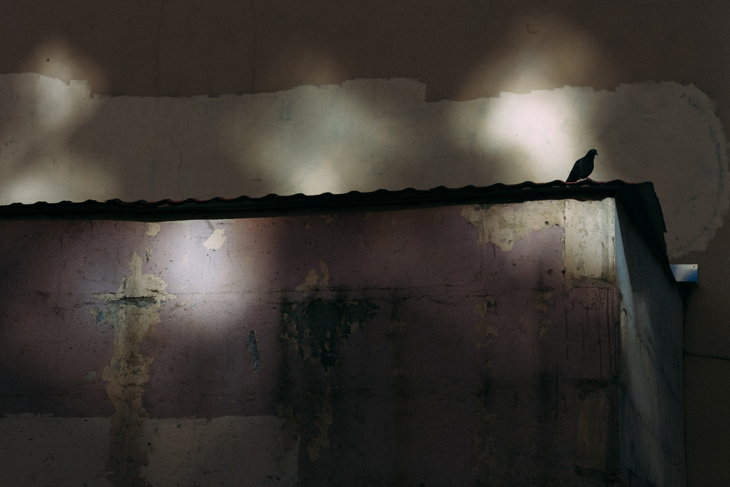 Saint-Petersburg. Künstler Verstecktoff