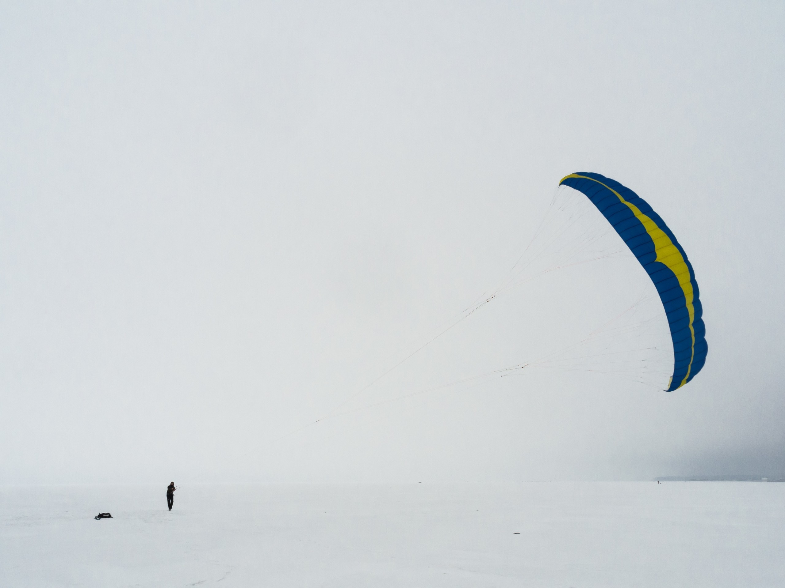 The park (2017). Künstler Verstecktoff